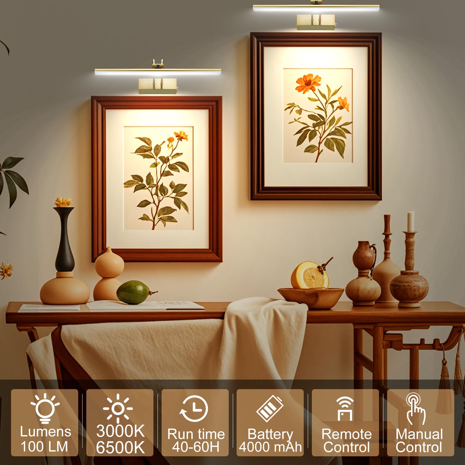 RAIFOOLLY Picture Lights for Wall,Battery Painting Light with Remote Dimmable and Timer, 2 Lighting Modes Art Display Light, Wal