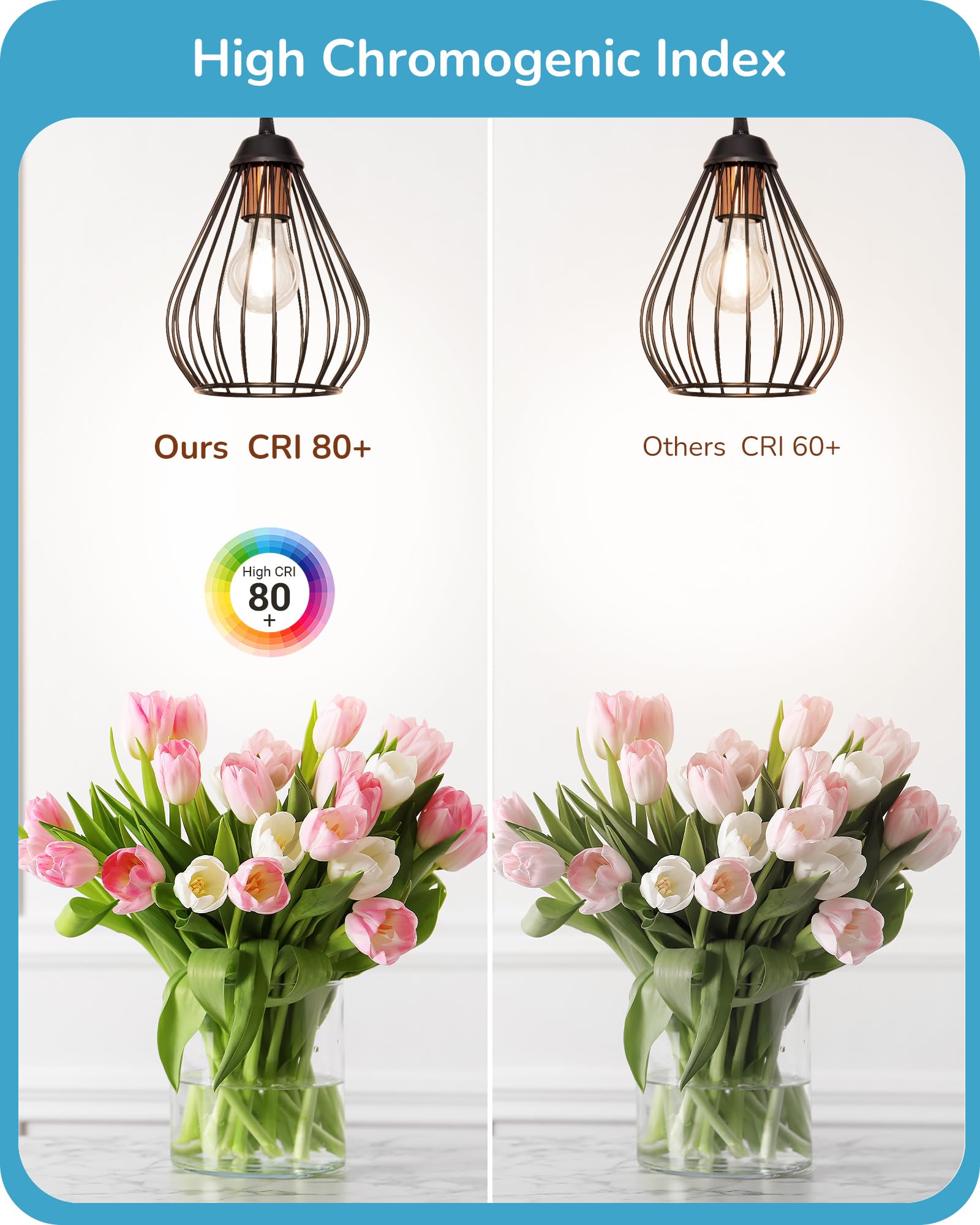 EDISHINE 6 Pack LED Edison Bulbs, A19 Dimmable, 800LM, 4000K Cool White, E26 Base, Antique Filament, 8W Equivalent to