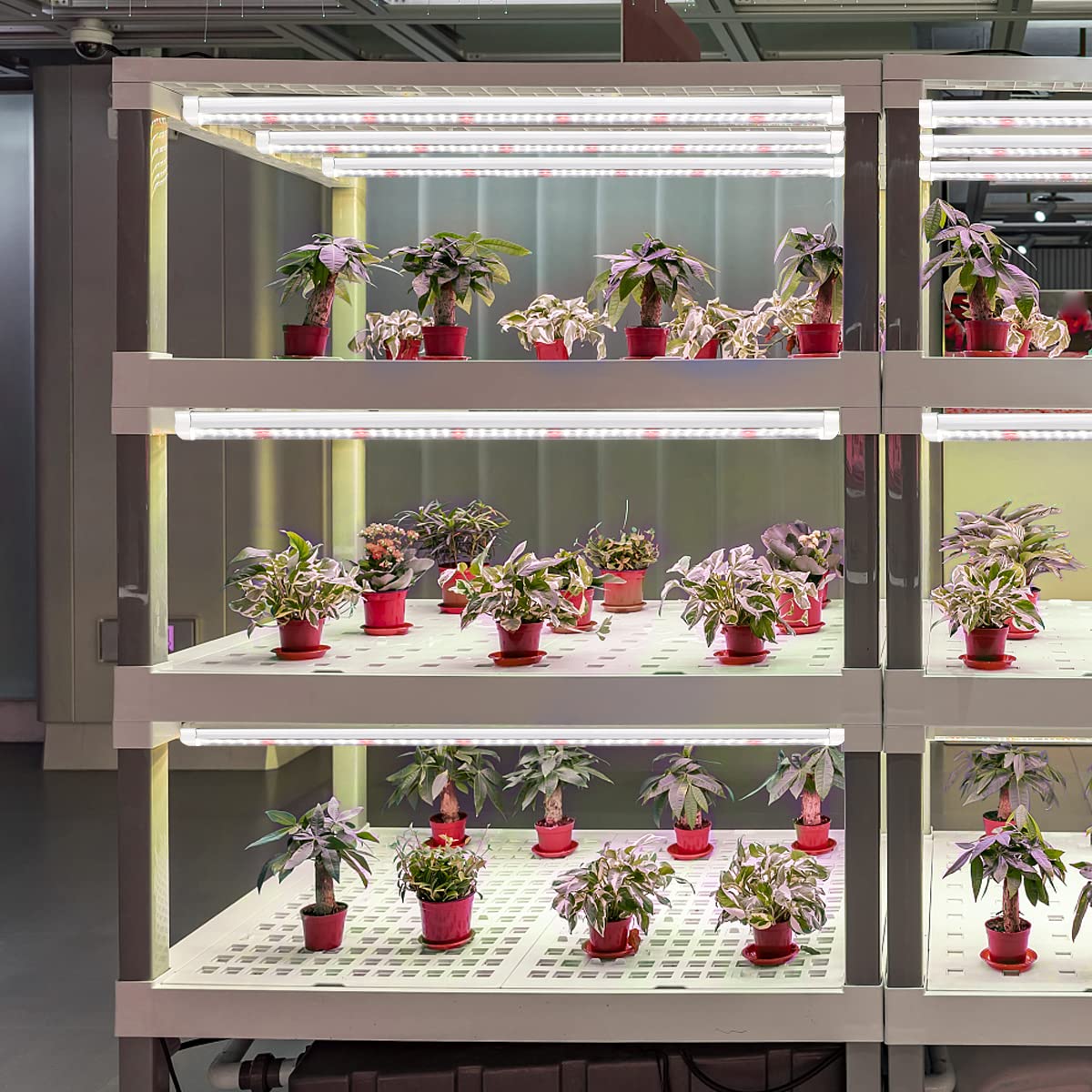 Gytf T5 Grow Lights, 408 Led-Bulb White Full Spectrum High Ppfd Plant Light Strips For Indoor Plants Growing, Greenhouse, Seeds Starting, Succulents, Expandable Design (8X10W, 400W Equivalent)