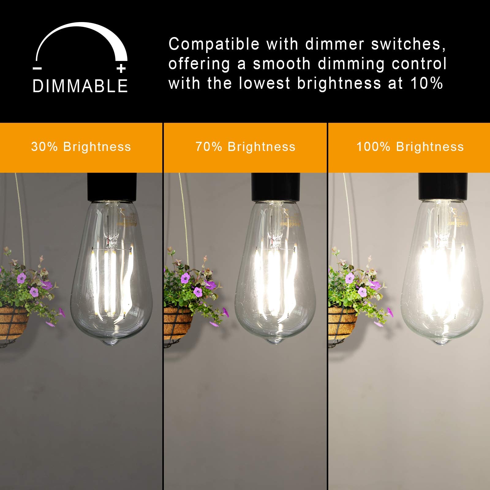 Ascher Dimmable Vintage LED Edison Bulbs, 6W Equivalent, Daylight White 4000K, Clear Glass, E26 Medium Base, 6 Count