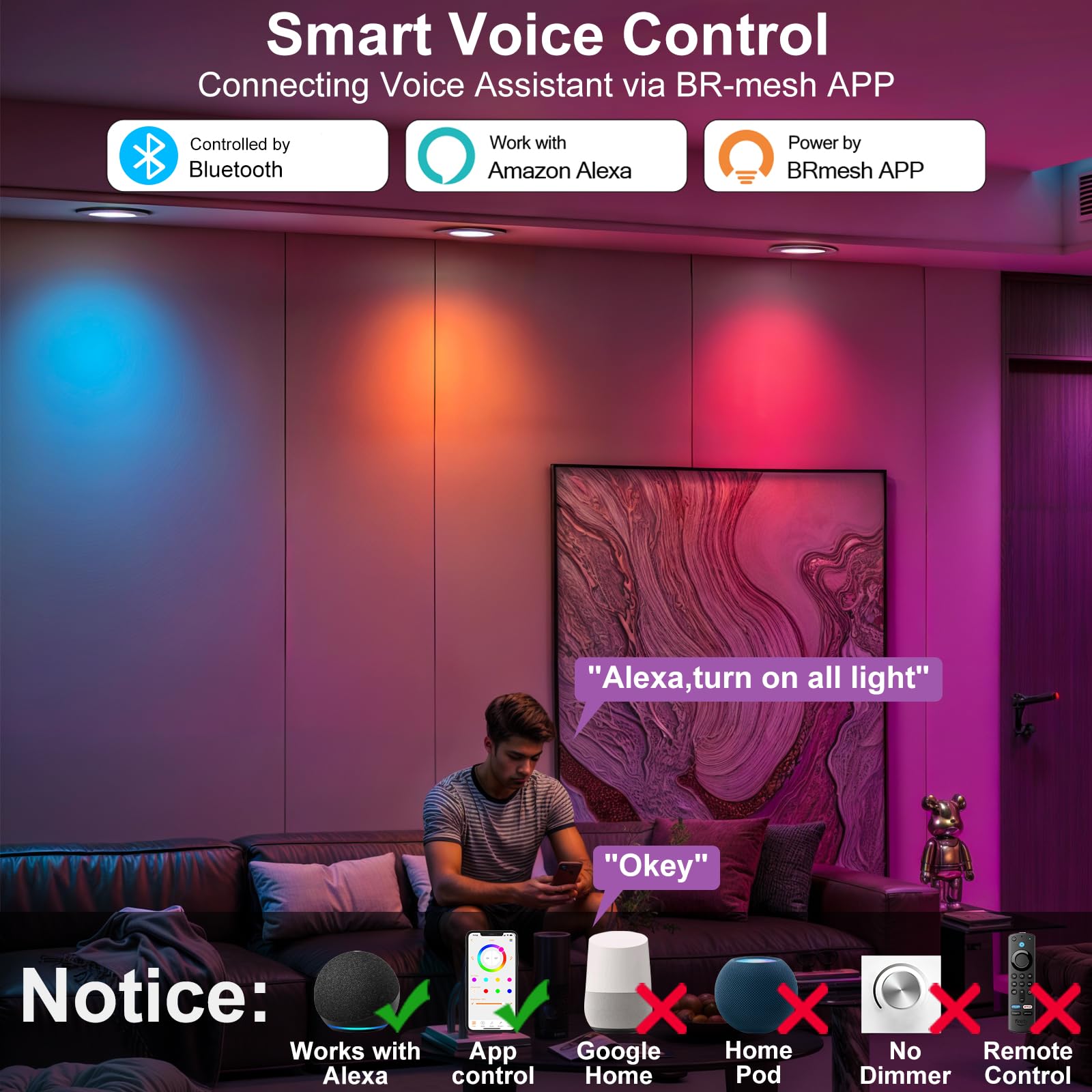 Hydong Smart Recessed Lighting  5/6 Inch  Compatible With Alexa  Smart Led Downlight  13W 1050Lm Led Lights  Smart Can Lights Multicolor App Dimmable  4-Pack