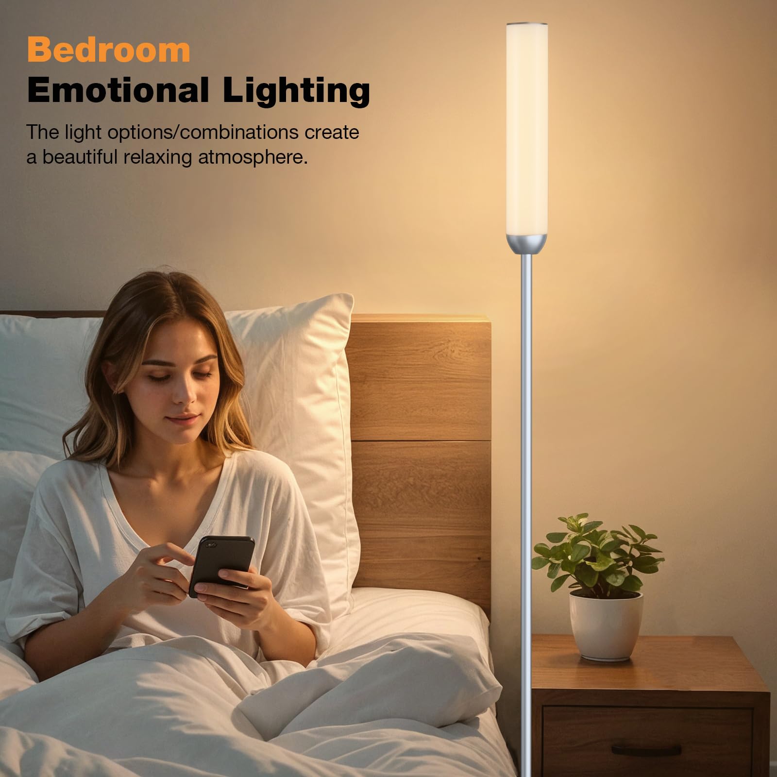Ambimall LED Floor Lamp, 65in Stepless Adjustable 3000K-6500K, Remote Control, Silver, Model RPT-ZGLED1-2
