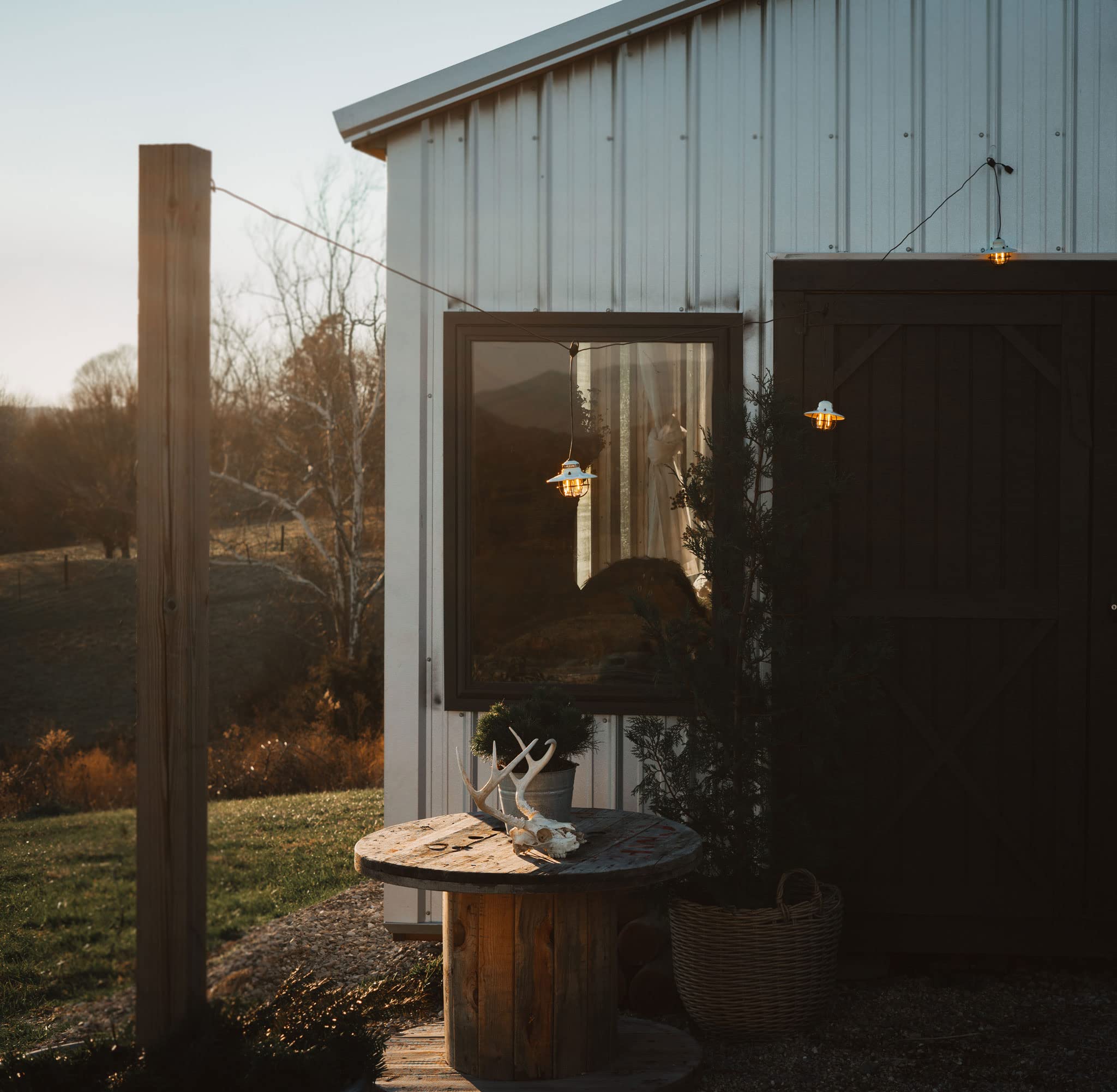 Barebones Edison Pendant String Lights - Vintage White, 3 Edison-Style Led Bulbs With 10-Foot Cord, Energy-Efficient Outdoor Lan
