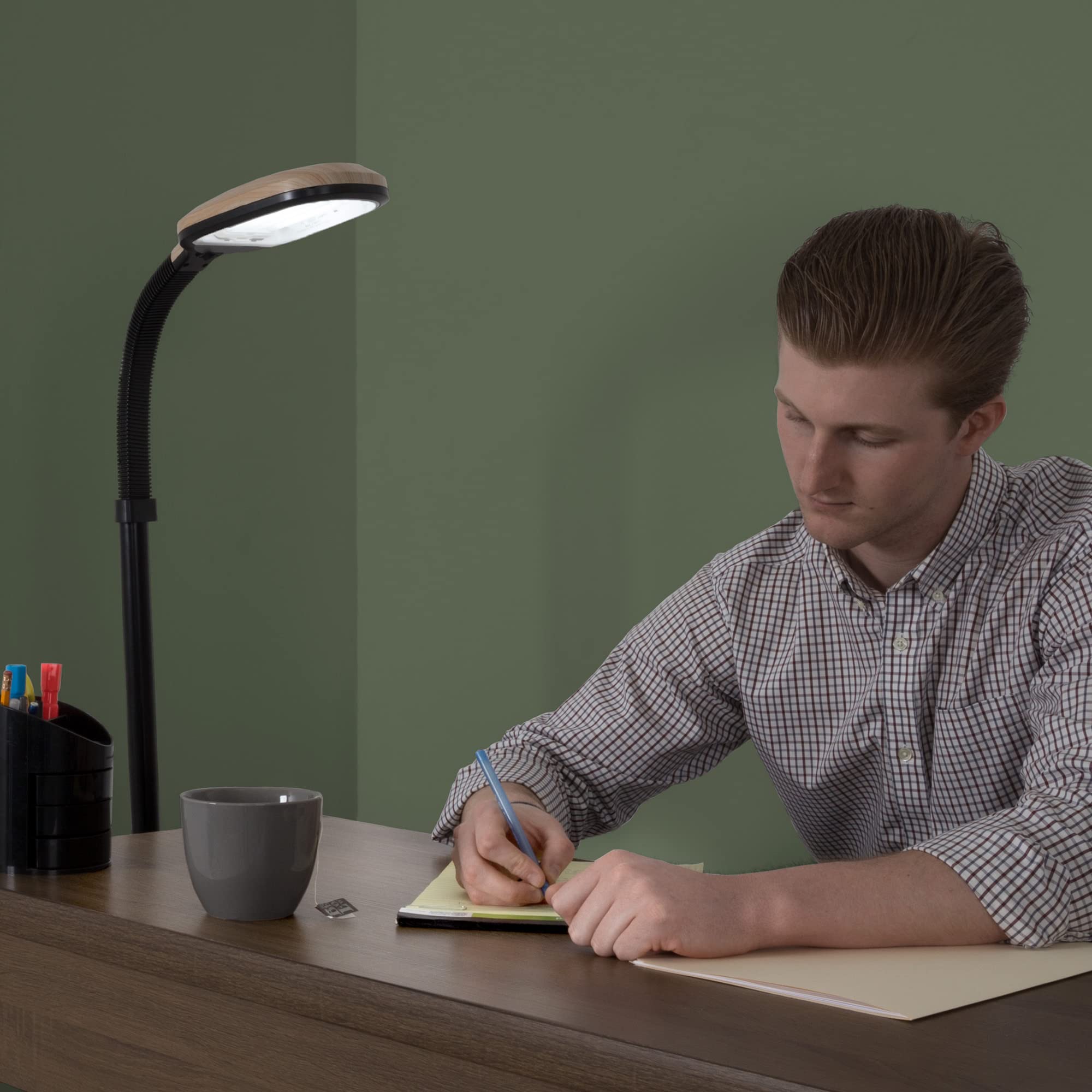 Floor Lamp - Full Spectrum Natural Sunlight Lamp With Bendable Neck - Reading, Craft, And Esthetician Light By Lavish Home (Ligh