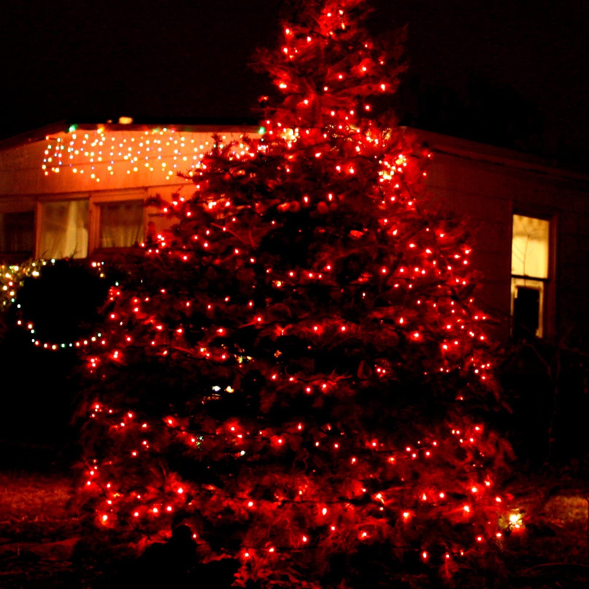 TW SHINE Christmas Mini String Lights, 20FT, 100 Count, Red, Waterproof, Model ZF-100-2/SB