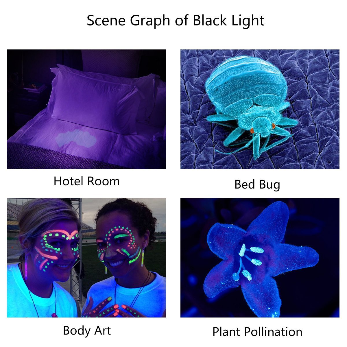 TATTU U3 UV Flashlight Rechargeable 10W Blacklight Torch, 395nm Ultraviolet LED, Aluminum, Micro USB Charging Cable