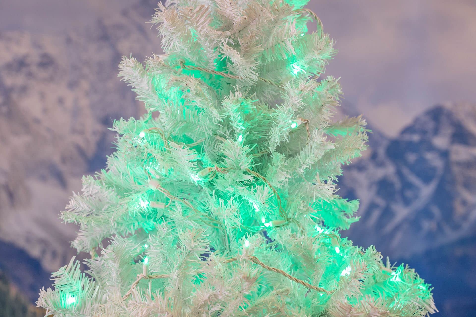 Novelty Lights LED Mini Light Set, 50 Count, 25 Feet, Green, Copper Wire, Outdoor Wedding Patio String Lights