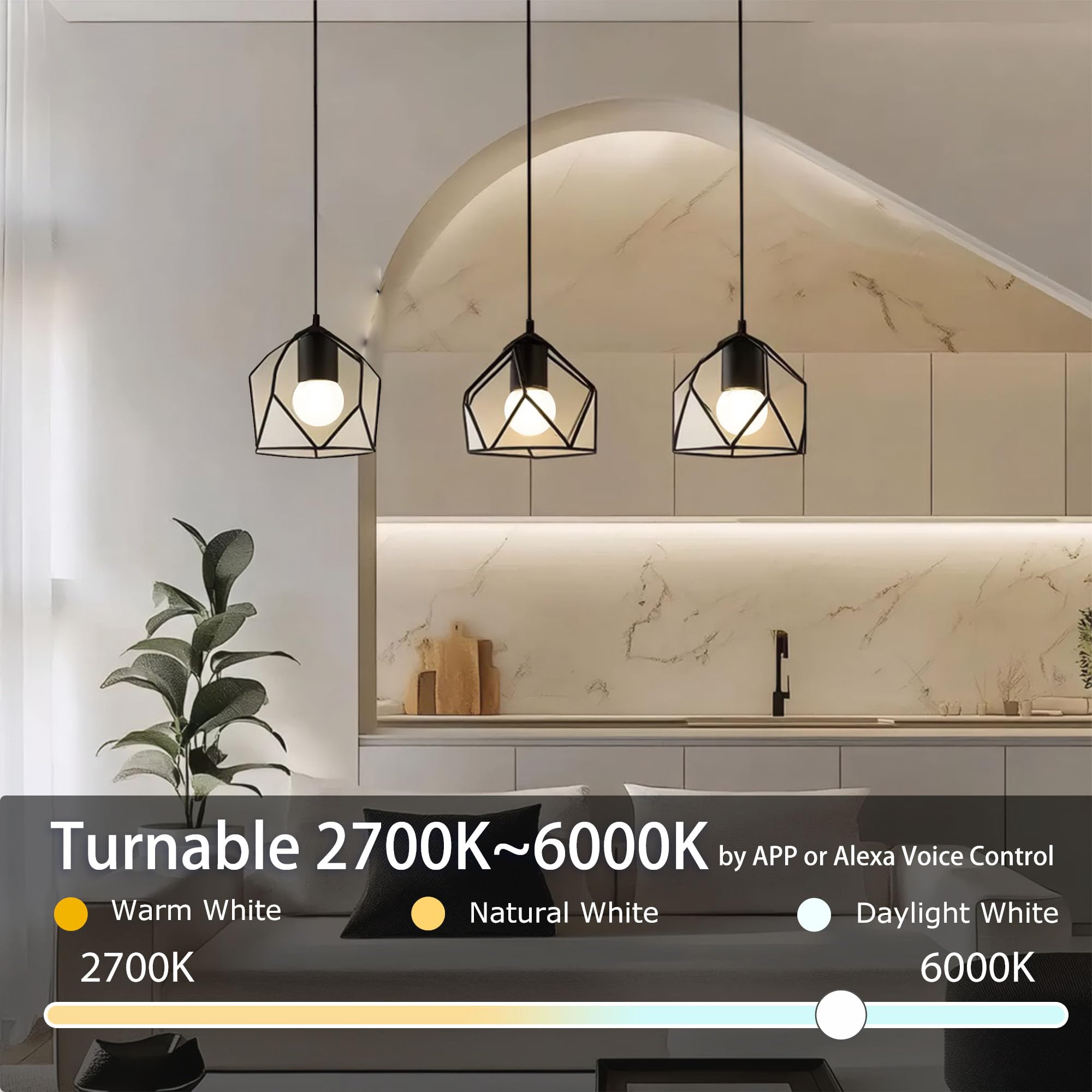 ILC G25 Globe Light Bulbs - App-Controlled, Color Changing, 6W, 600LM, E26 Base, 6 Pack, 2700K-6000K RGB