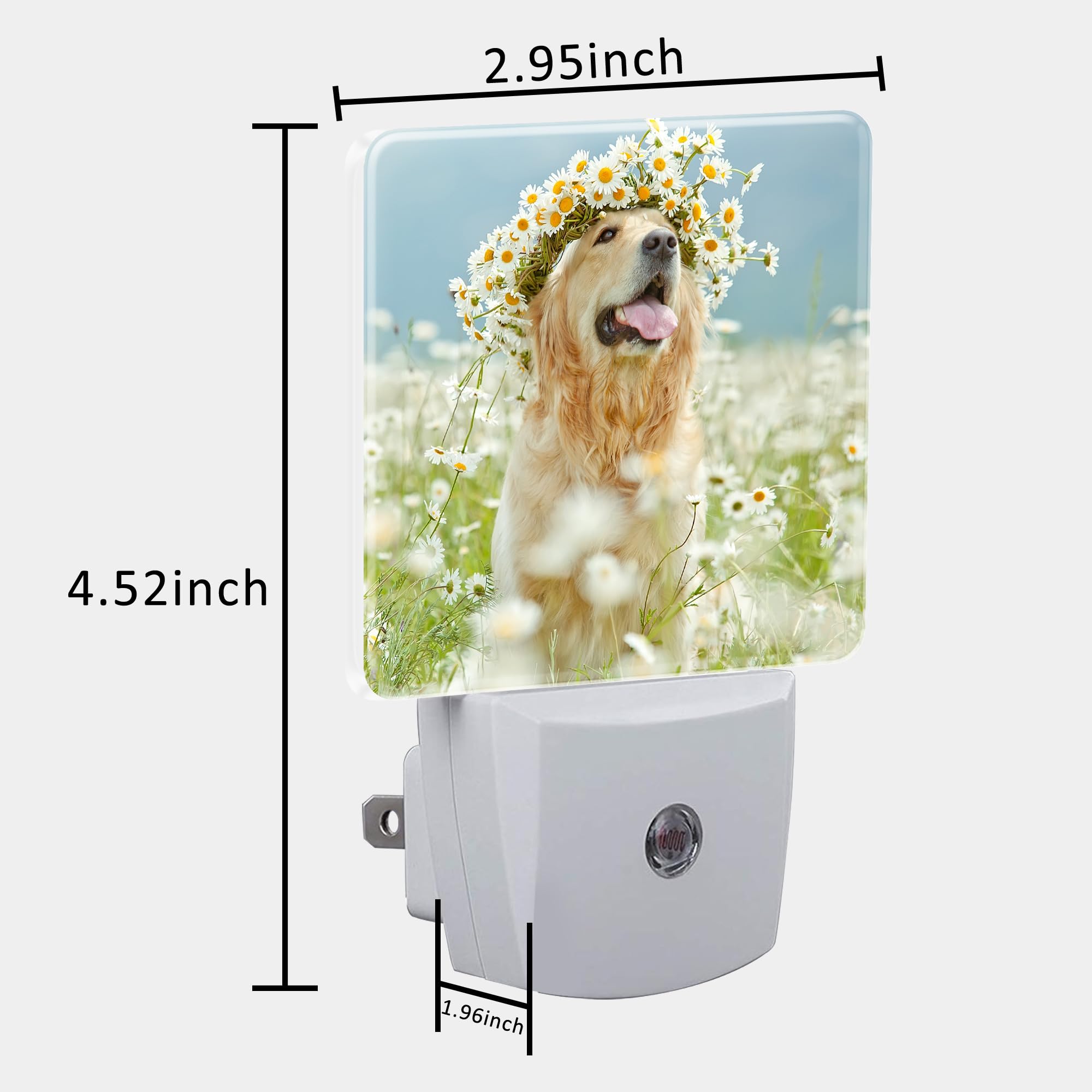 Uiaoiais Plug In Night Lights Golden Retriever With Daisy Wreath Night Light With Dusk To Dawn Sensor Night Light For Kid Girls