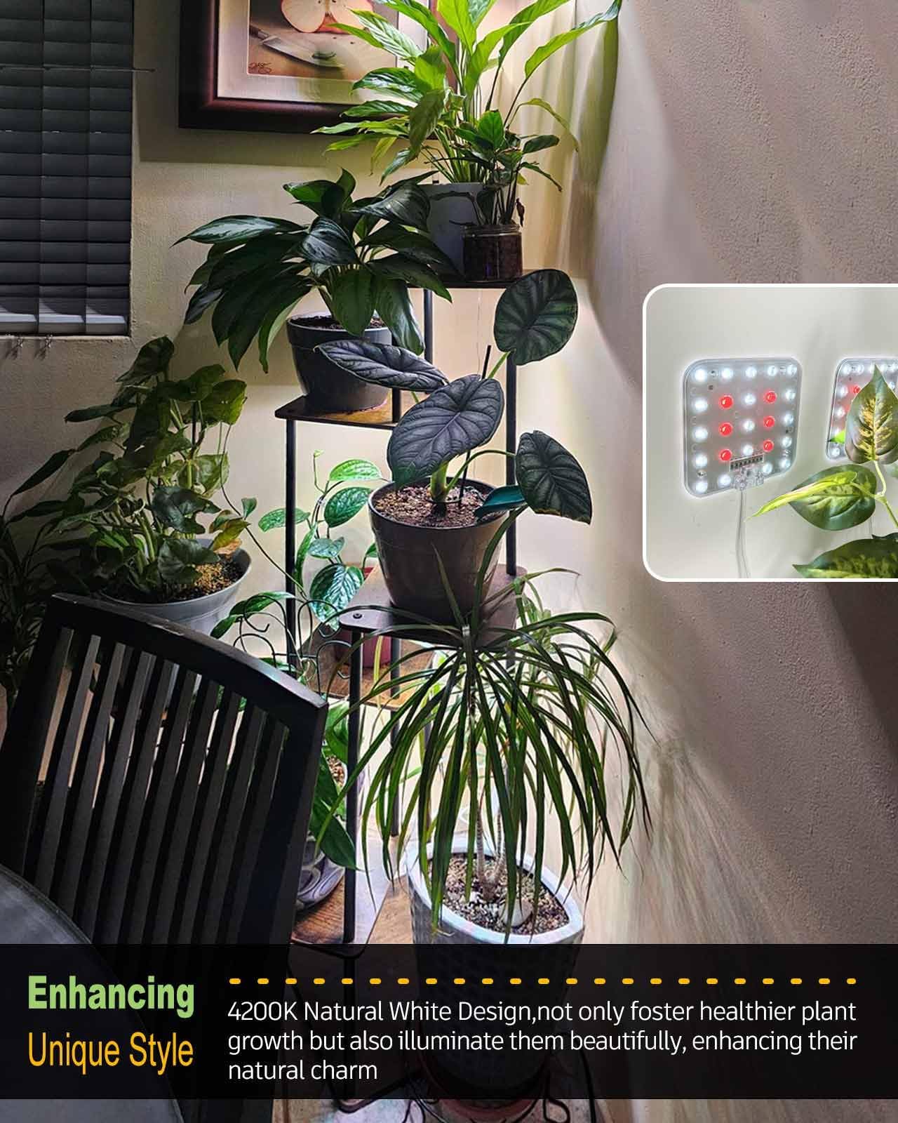 Dommia Grow Light, Square 4 Dimmable Full Spectrum High Ppfd With Optical Lens, Auto On/Off And 6/12/16H Timer, Suitable For Hydroponics, Seedlings, Succulents, Veg, Flowers & More(No Adapters)