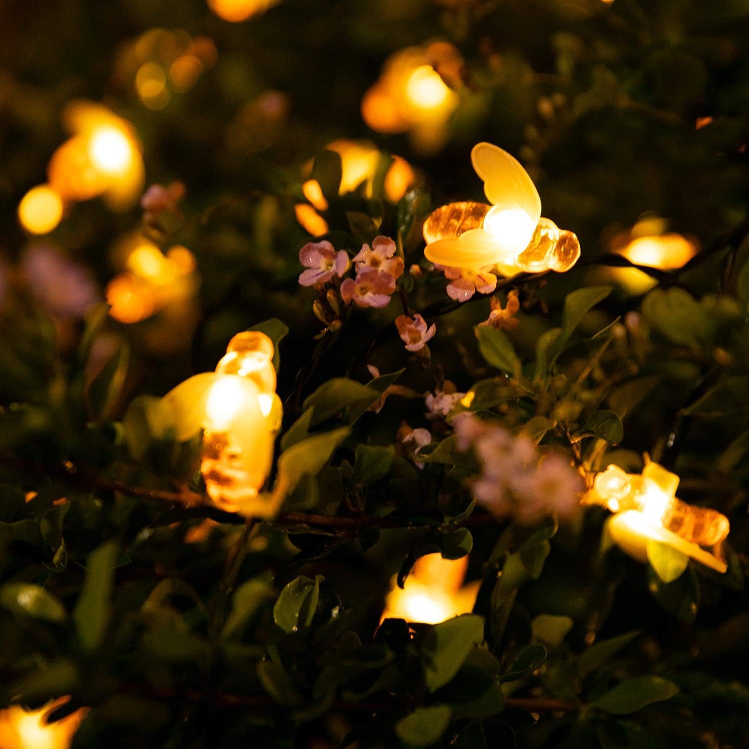 Brightown Solar Bee String Lights 31FT 50 LED Waterproof Warm White for Outdoor Patio Garden Wedding Decor