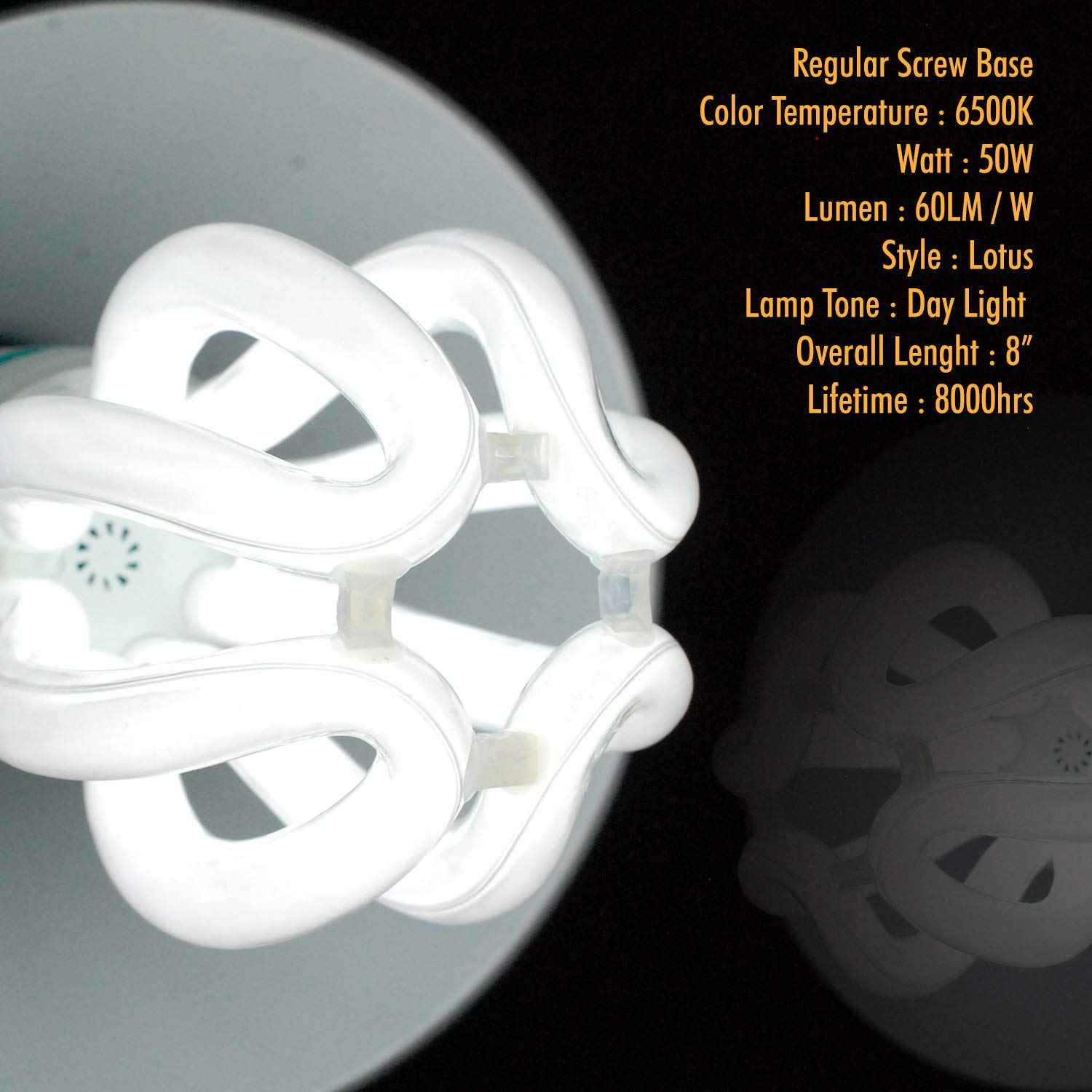 Etoplighting |5Pack| 50 Watt Full Spectrum Photography Lighting Photo Studio Light Bulb  6500K Cfl Daylight Balanced