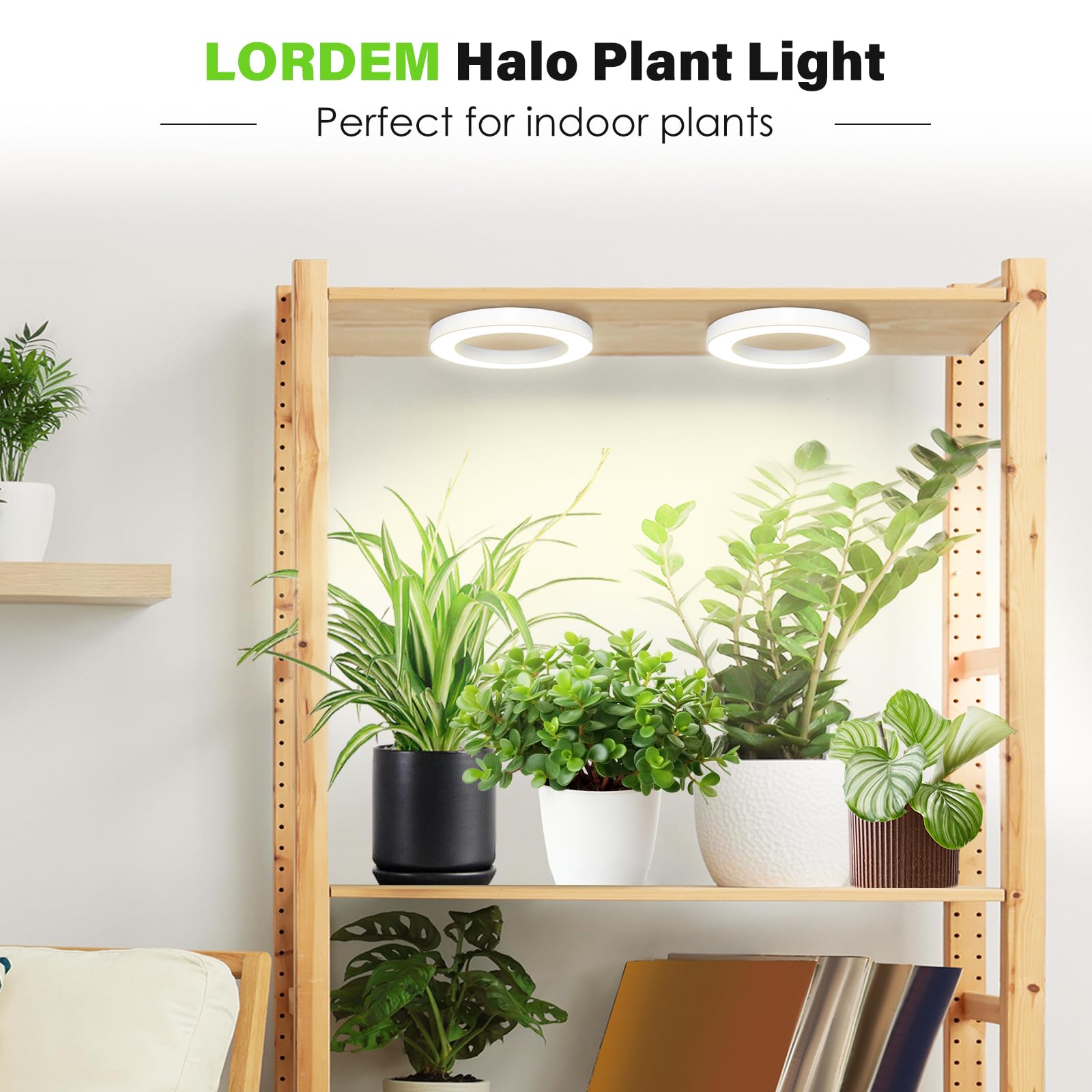 Lordem 6.3” Ceiling Grow Light For Indoor Plants, 144 Leds Full Spectrum Halo Grow Lamp, Under Cabinet Plant Lamp With 4/8/12H Auto Timer, 4 Dimmable Brightness Levels, Ideal For Pot Plants, Dual Head