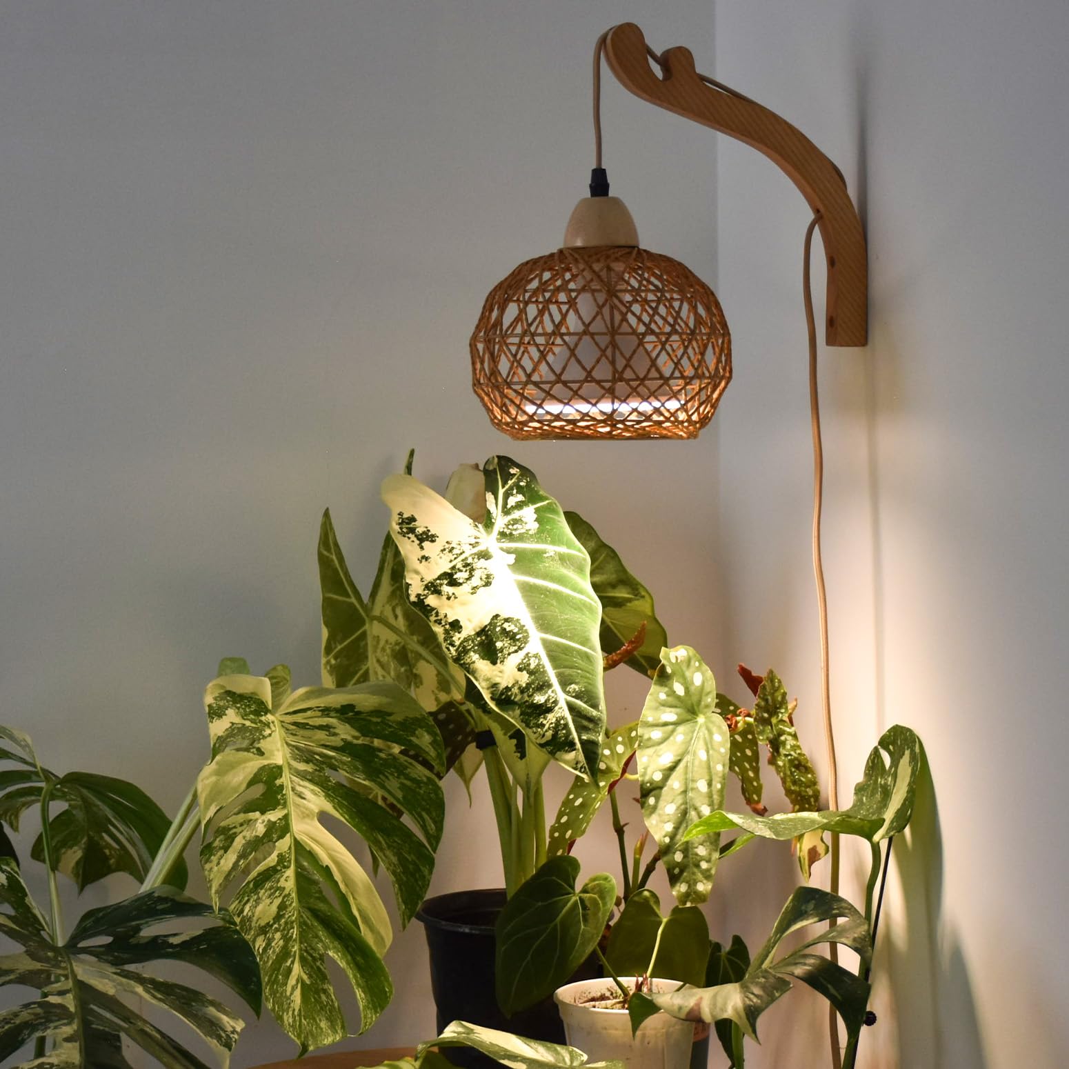 Bstrip 18W Hanging Grow Light for Indoor Plants, Full Spectrum, Boho Rattan Shade, 3800K, Warm White, Wall-Mounted, Model BP-W001