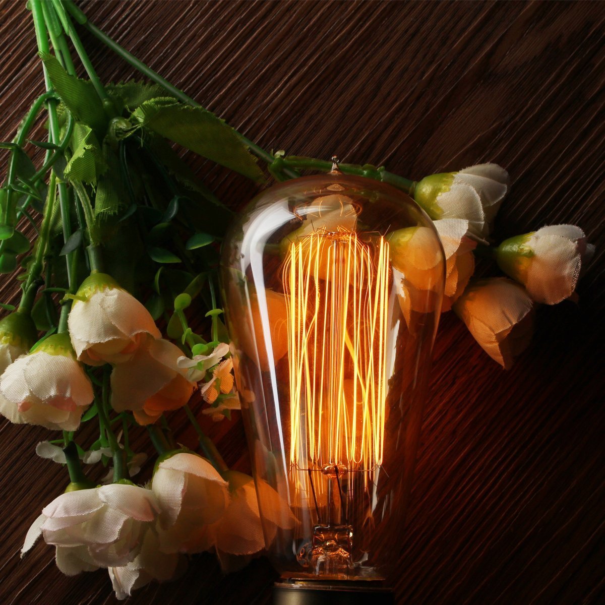 CTKcom Vintage Edison Light Bulbs - 40W ST58 Squirrel Cage Filament E26/E27 Base - 2 Pack, Glass, Antique Style