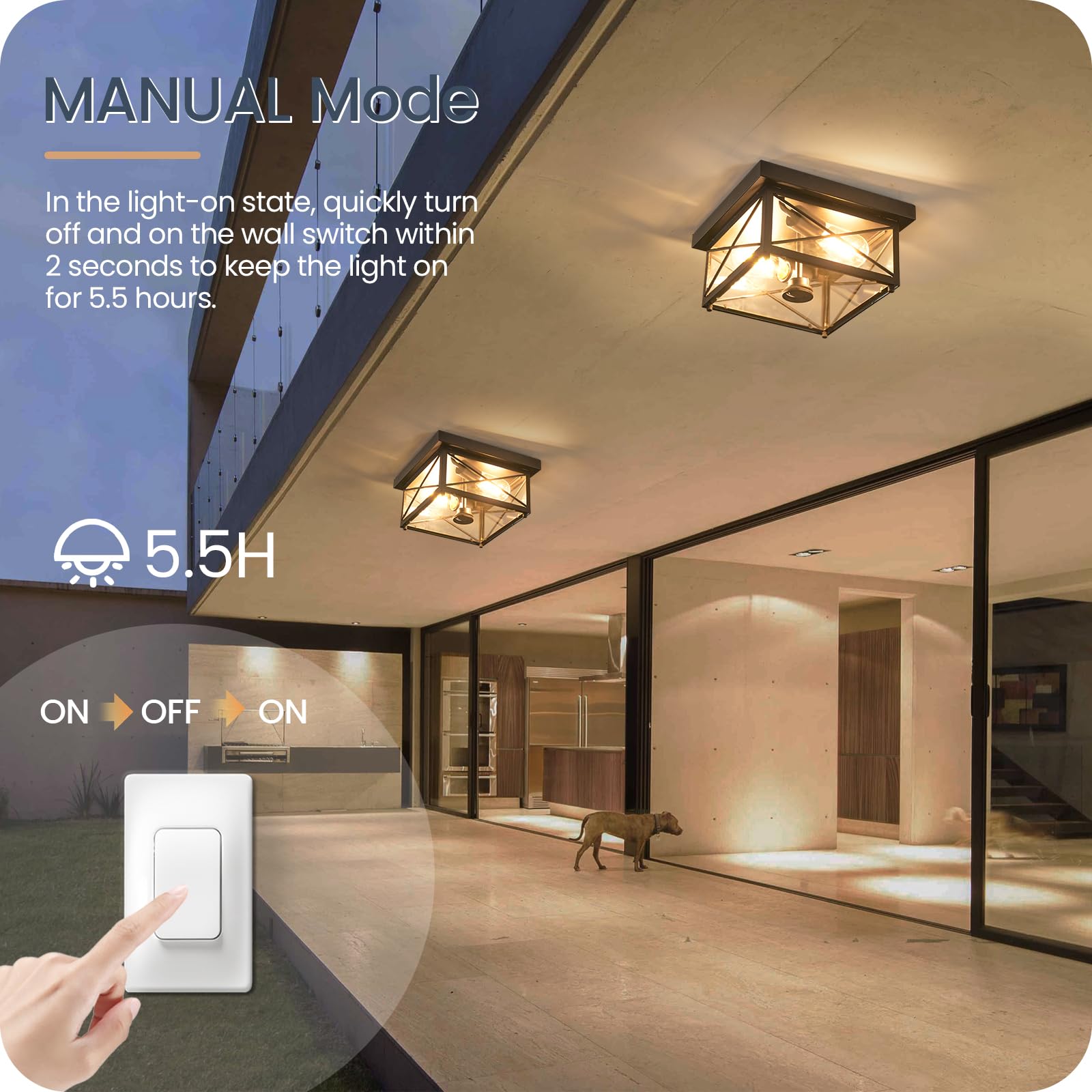 GOEBLESON Outdoor Ceiling Light Fixture, Motion Sensor, 2-Light Metal, Glass Shade, Black, Model BT09XD05