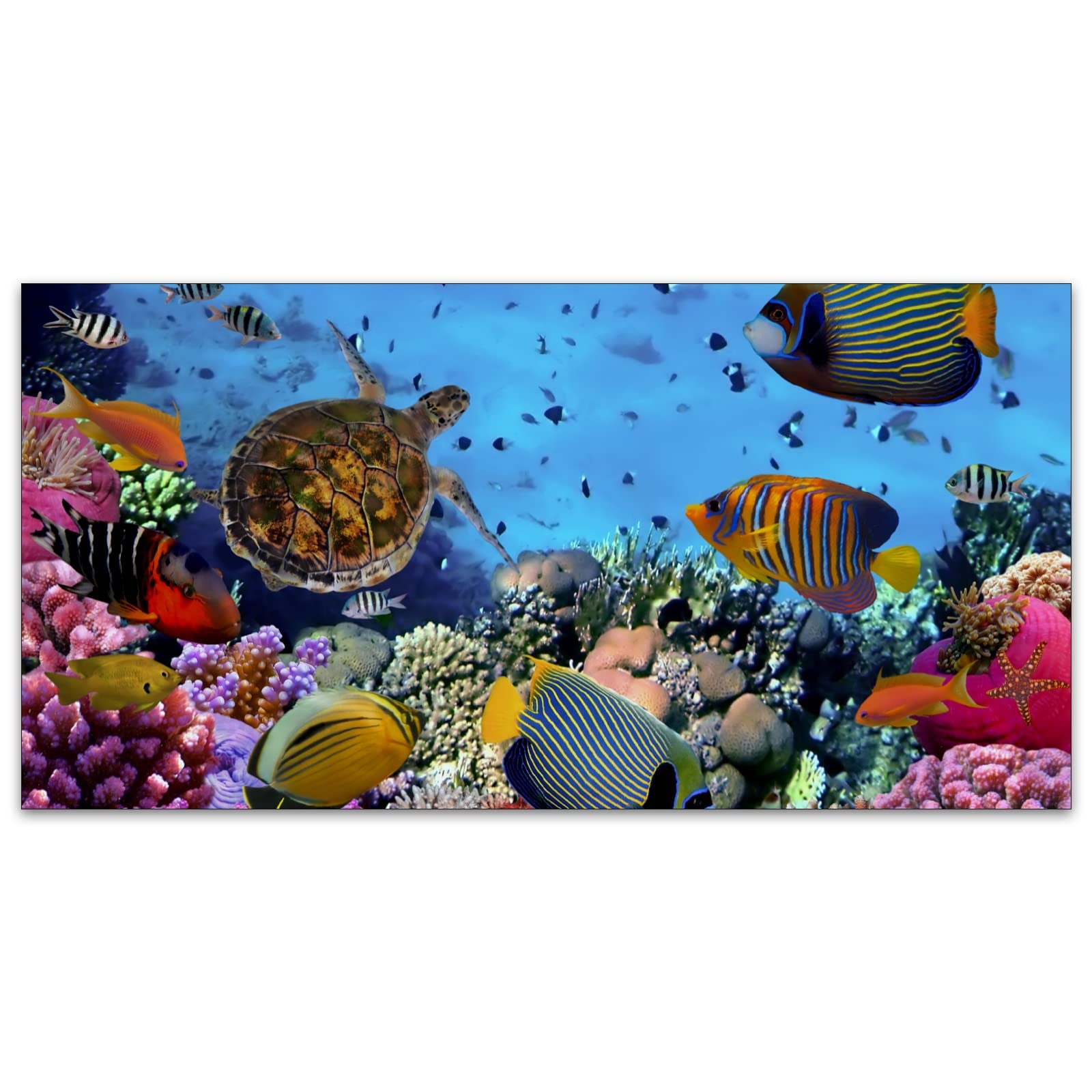 Msinmkok Underwater World 2X4Ft Drop Ceiling Fluorescent Decorative Light Cover Colorful Fishes Coral Reef Sea Turtle Skylight F