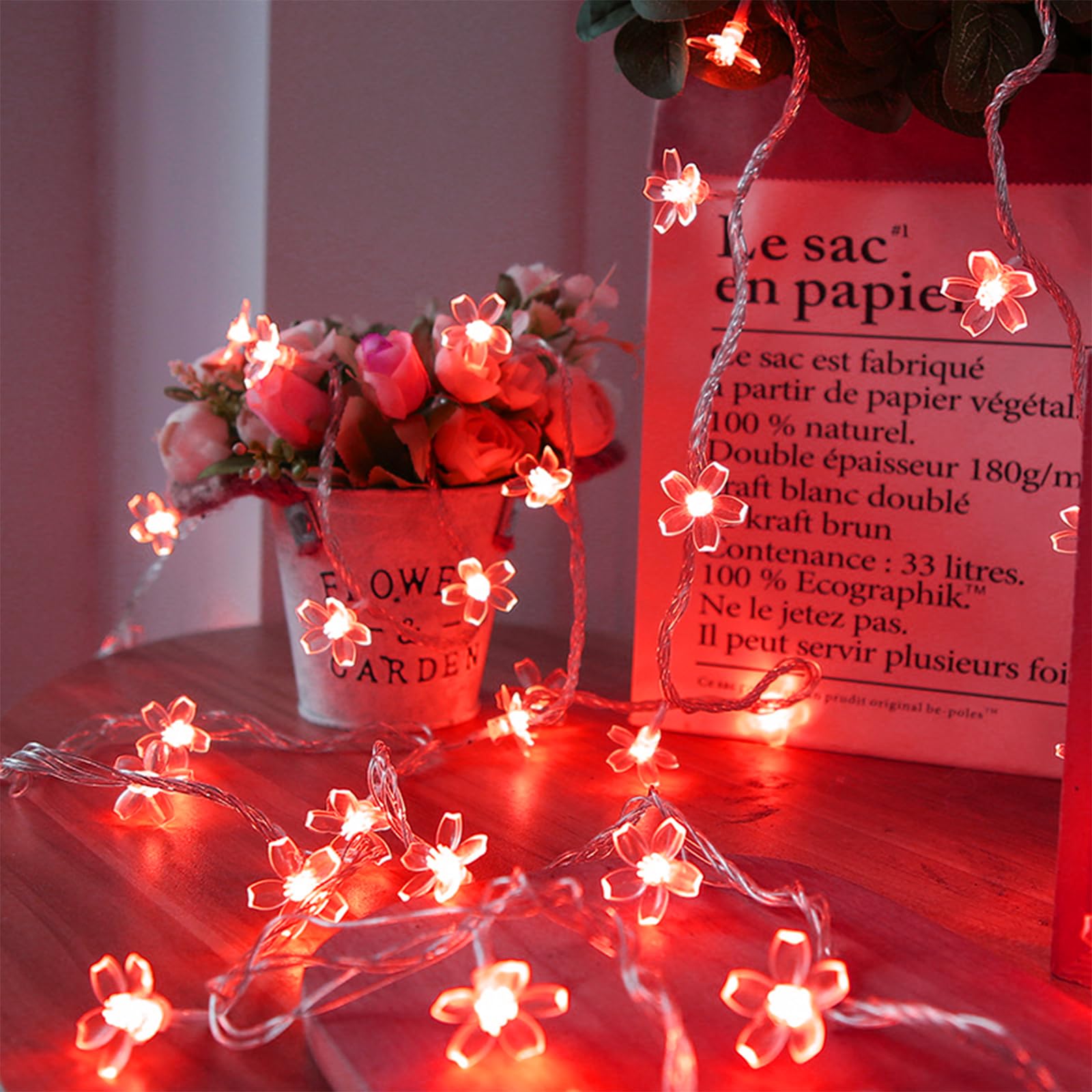 Battery Lighted & USB Plug in Fairy Flower String Lights, 10ft 30 LED Cute Cherry Blossom Lights with Timer Indoor Bedroom Party