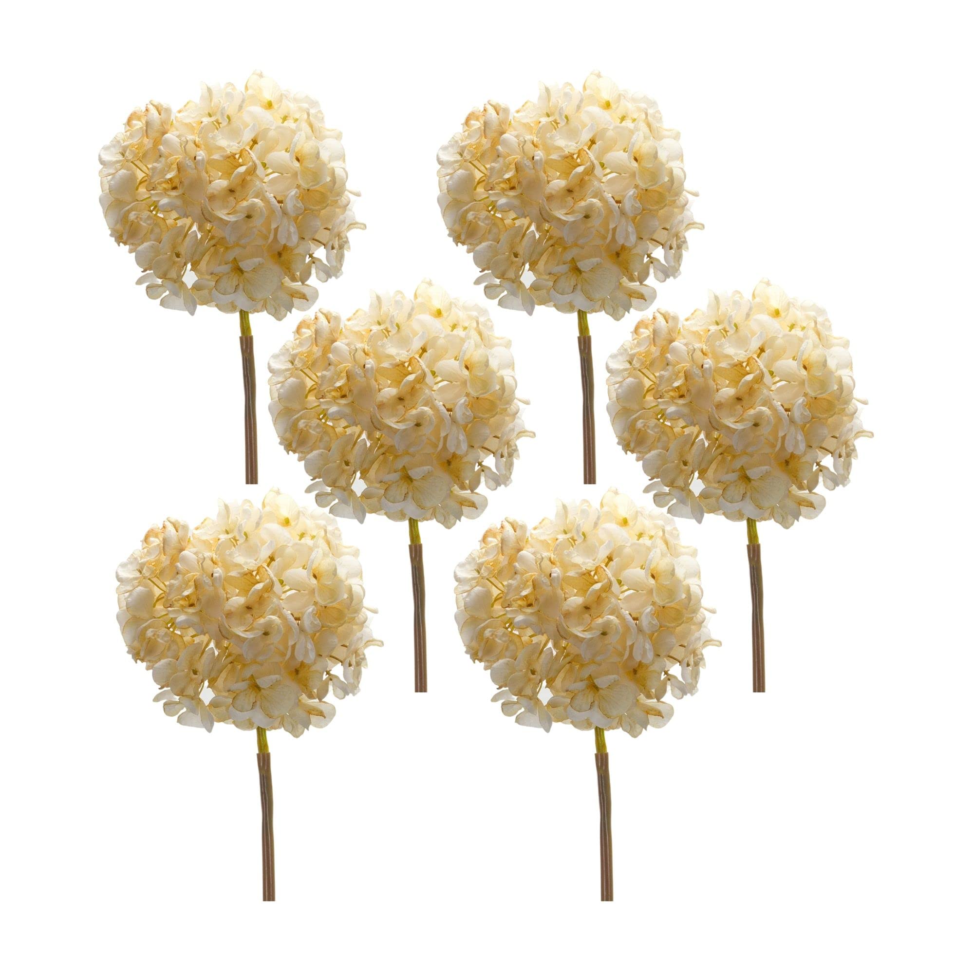 Melrose Set of 6 Polyester Hydrangea Stem with Cream Finish 85808DS