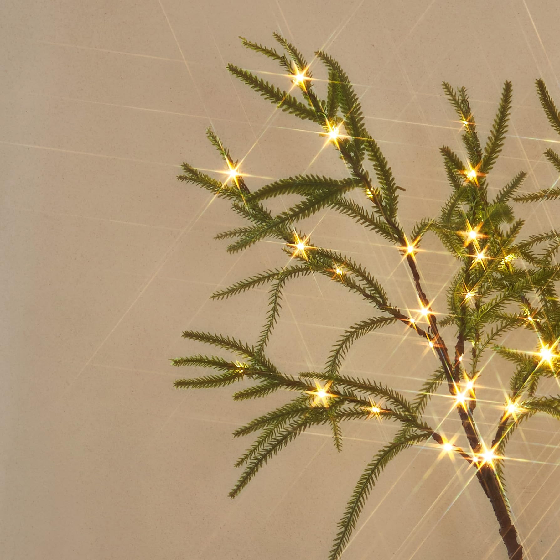 LITBLOOM Lighted Norfolk Pine Branches with 60 Fairy Lights, 32IN, Green, USB & Battery Operated for Christmas Decoration