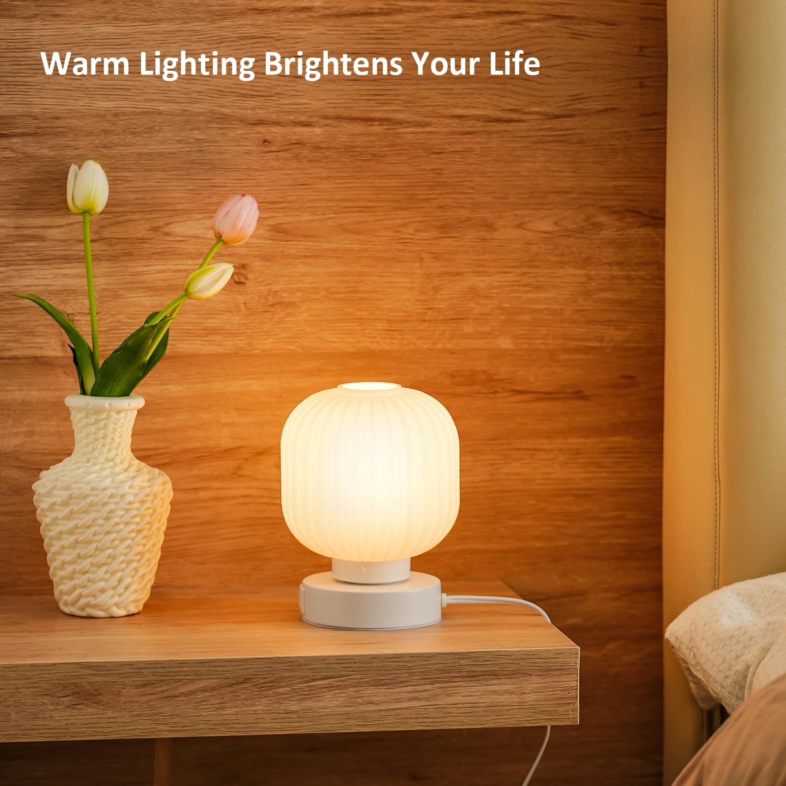 Elenhome 2-Pack Touch Bedside Glass Table Lamps - 3-Way Dimmable, USB Charging Ports, White, Model WN-CL04