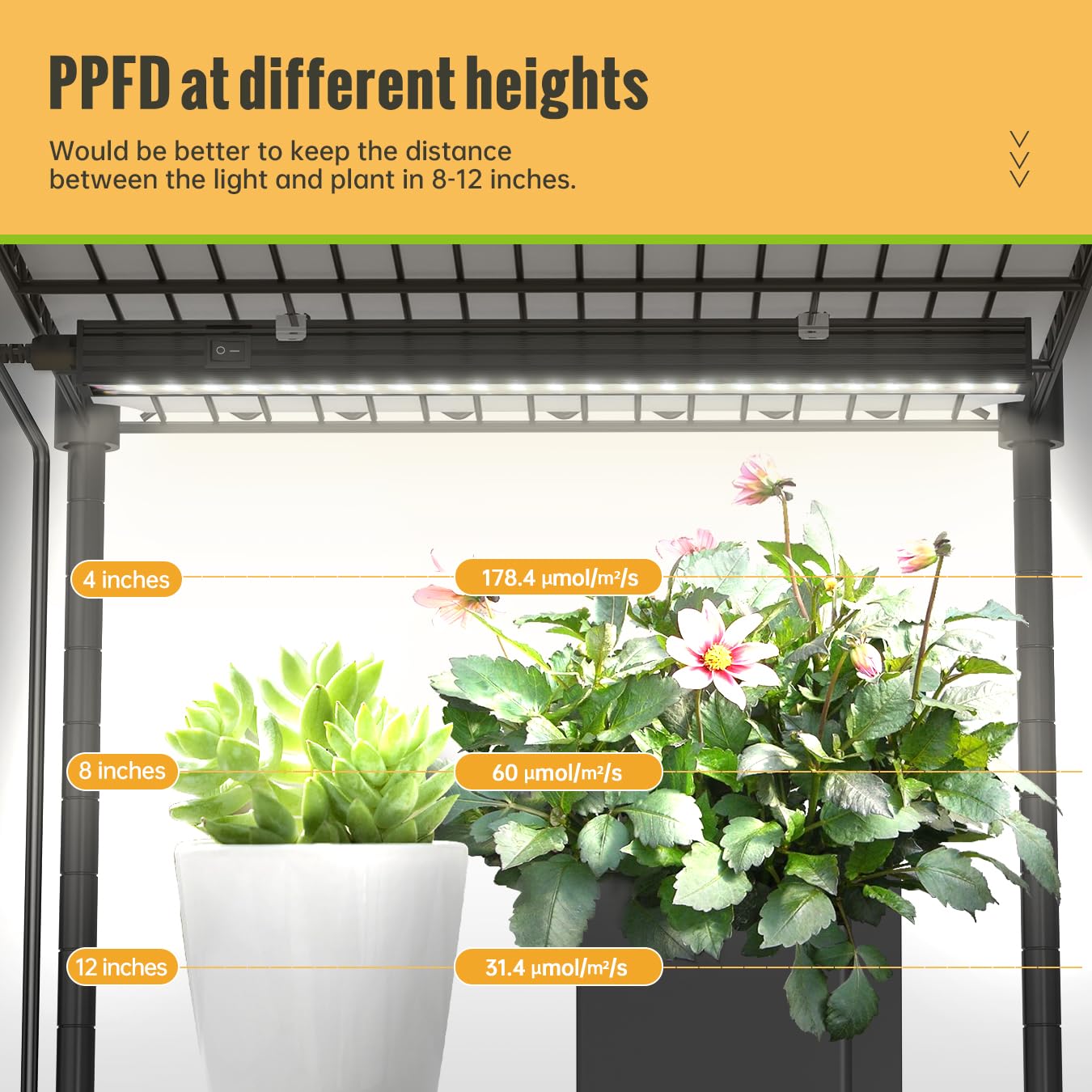 SpeePlant LED Grow Light Strips, T5 Grow Lights, Full Spectrum, 1FT 5000K, Led Grow Lights for Indoor Plants, Plant Light with O