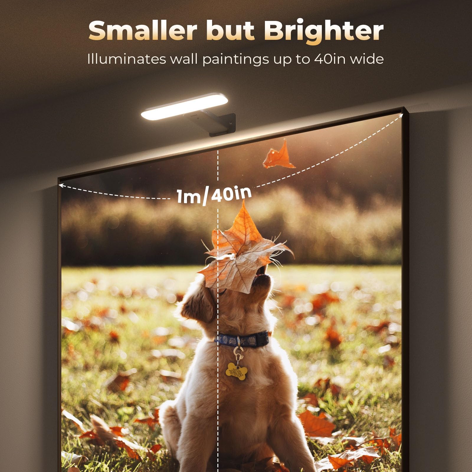 Fulen Rechargeable Picture Lights For Wall, Wall Lights Battery Powered With Remote, Art Lights For Paintings, Picture Frame Lig