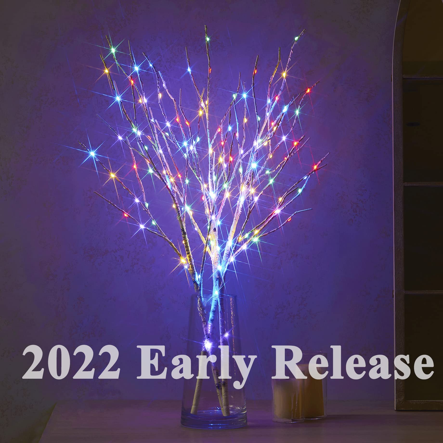 Hairui Lighted Branches Fairy Lights, 150L, 8 Functions, 30IN, Warm White & Multicolor, White Birch 8 Functions