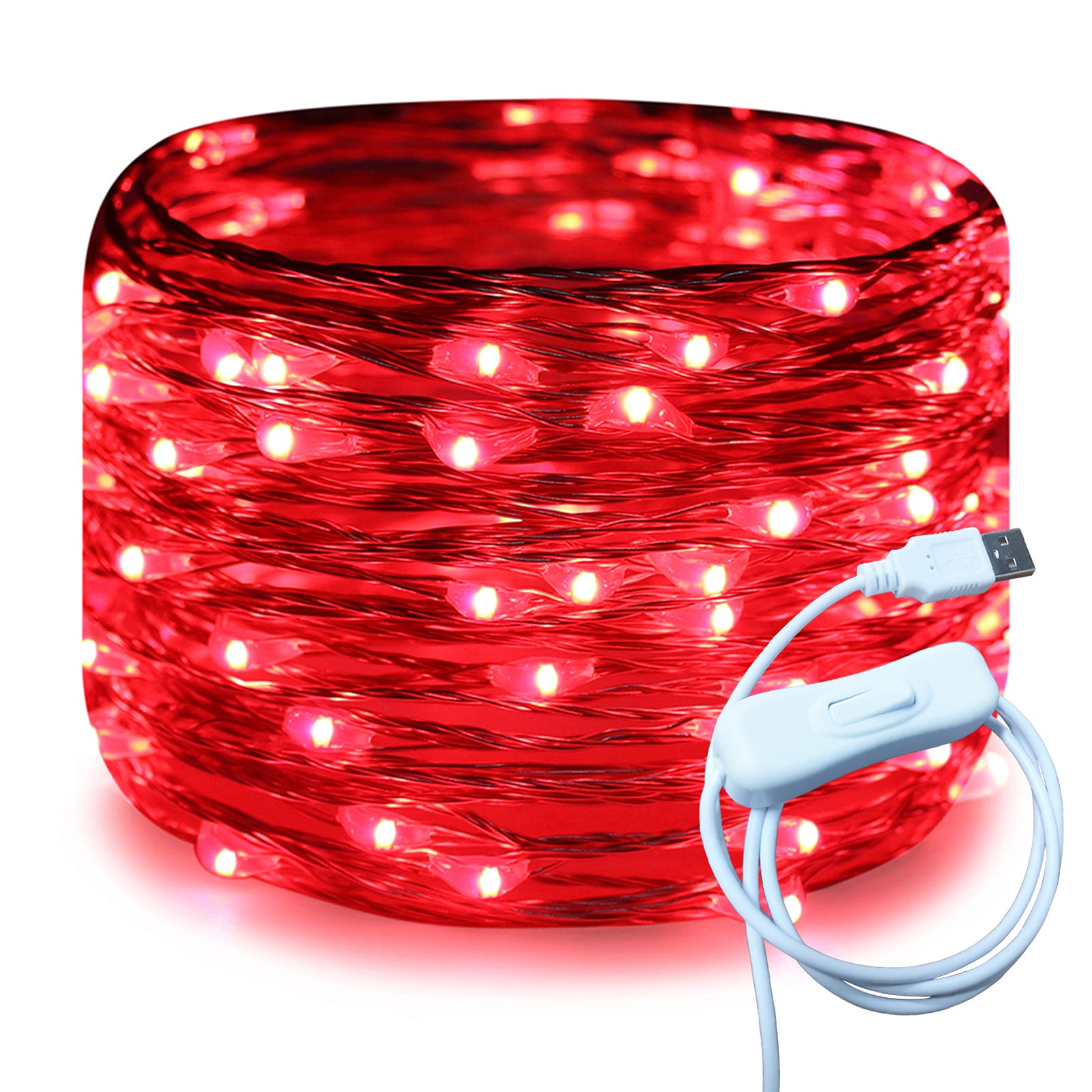RUICHEN Silver Wire 33 Ft 100 LED USB Fairy String Lights with On/Off Switch (Red)
