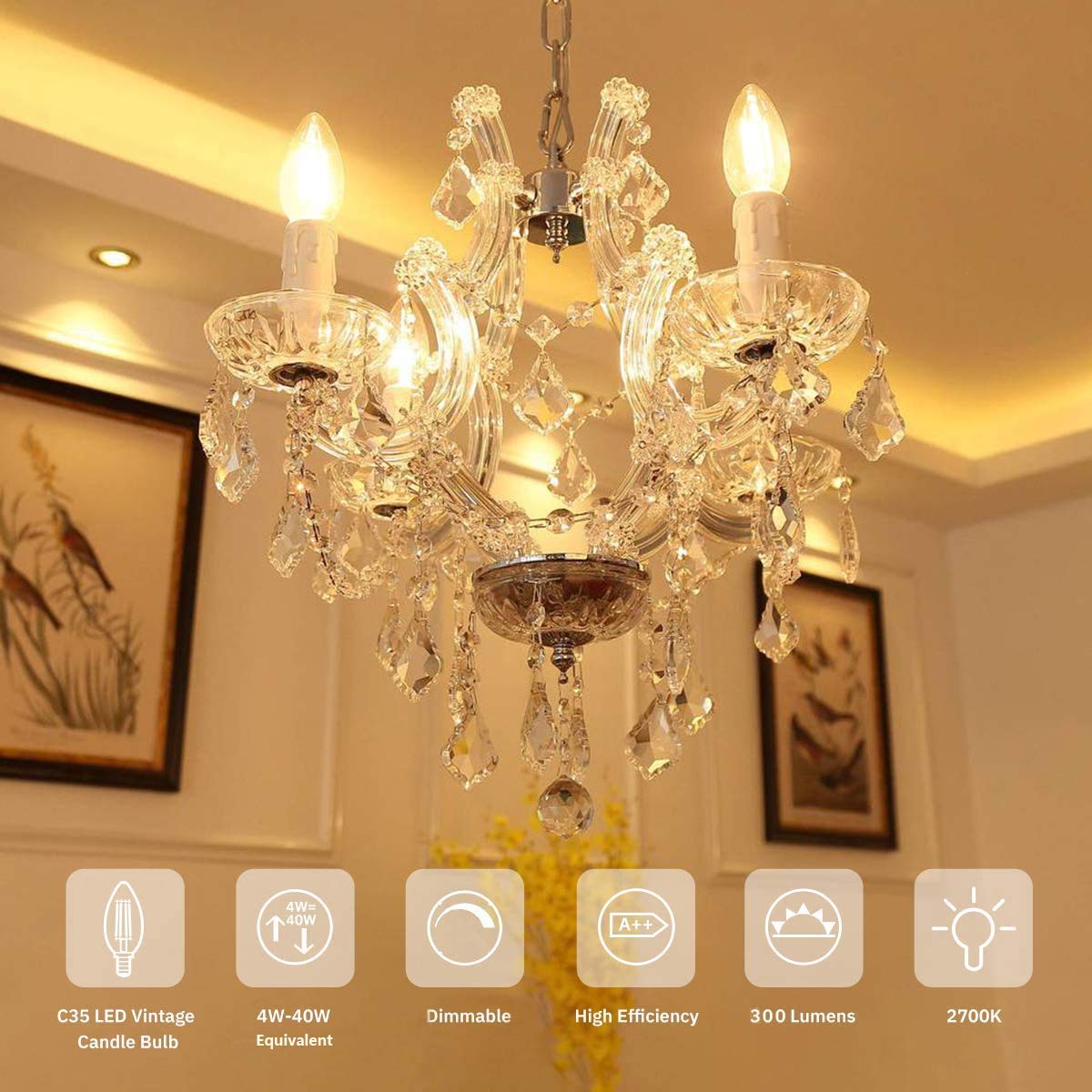 Raheem E14 Led Bulb, Dimmable, 110V 300 Lumens 2700K 40W Equivalent, Best Replacement For Halogen And Incandescent Bulb, Candela