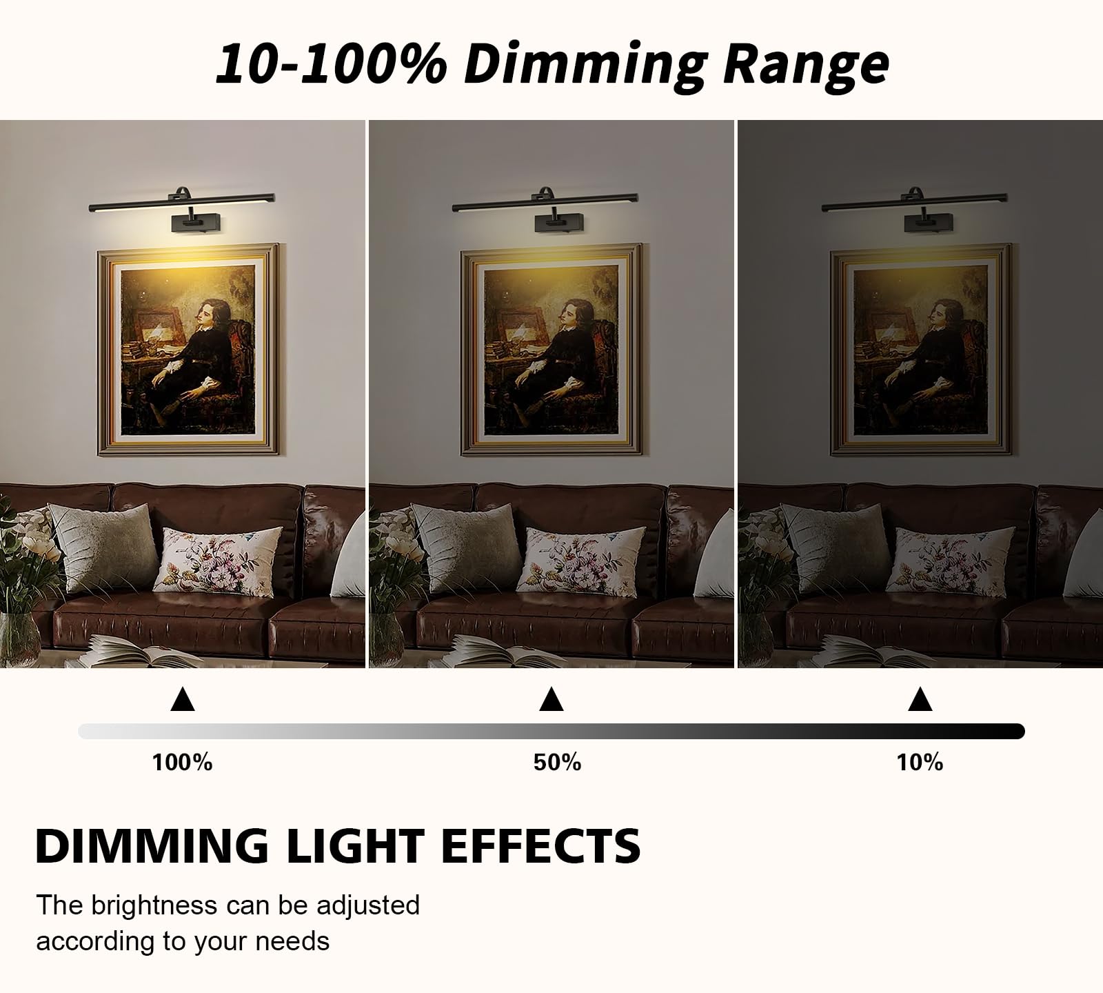 DESOOP Dimmable Picture Light 24 Inch Black with Remote & Timer, 5W Warm White Rechargeable Gallery Lighting