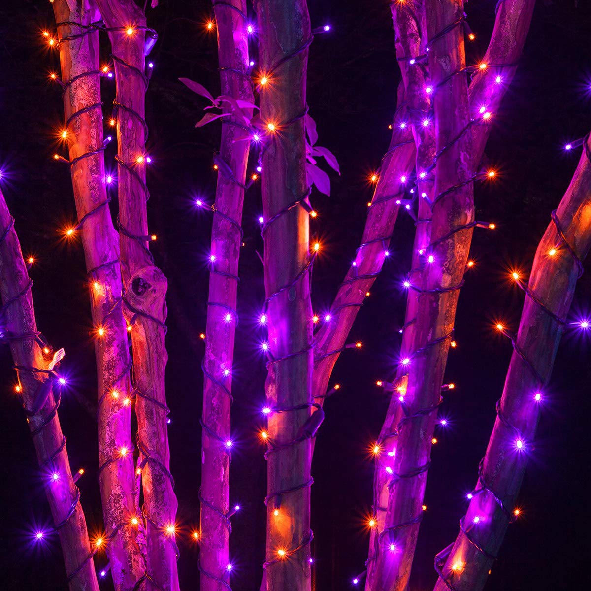 Wintergreen Lighting LED Mini Light Set, 70 Lights, 24 ft, Purple/Orange, Indoor/Outdoor, Black Wire, UL Certified, Model IOS-2-35-2