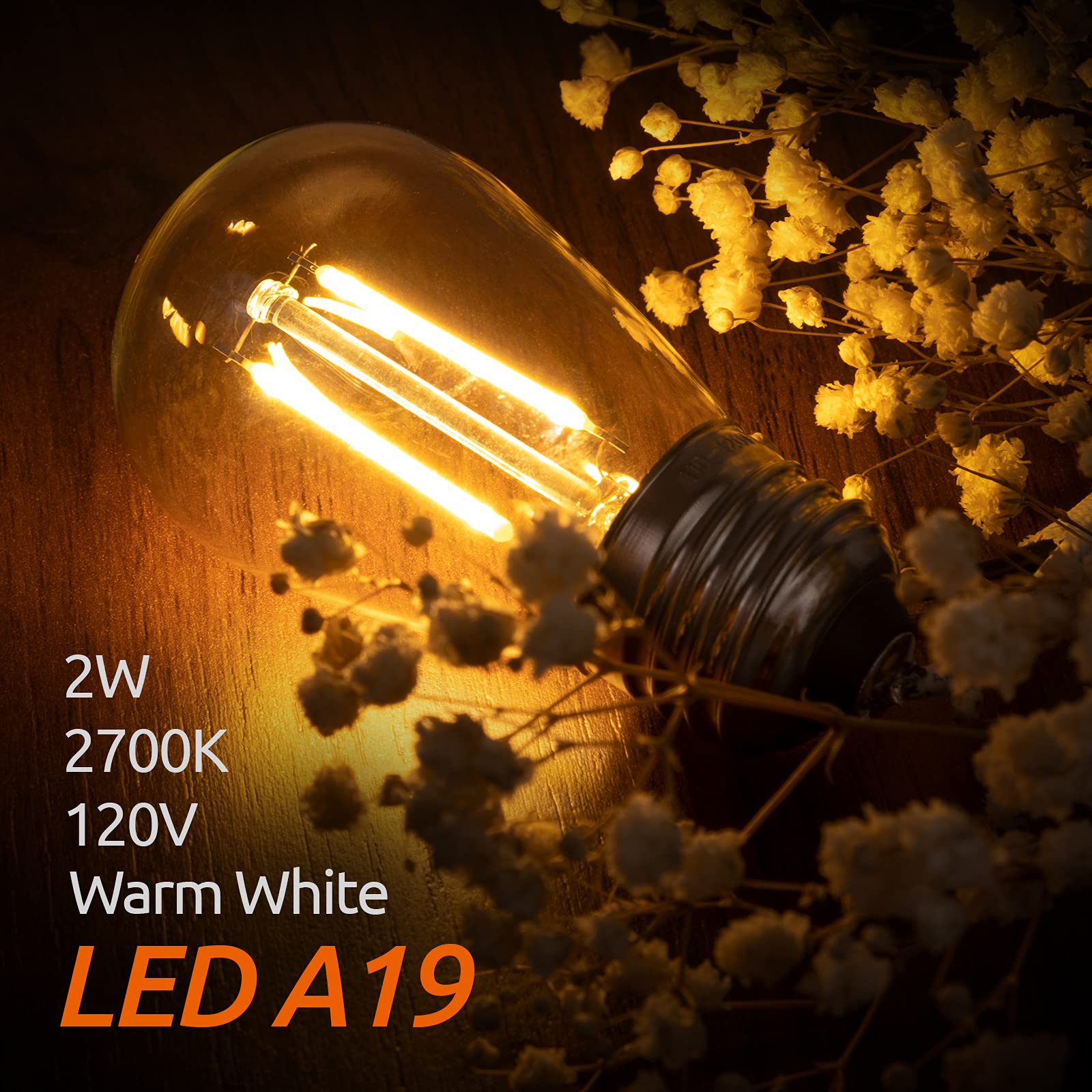 addlon LED Replacement Bulbs S14 2W Waterproof E26 Screw Base, Clear, 4 Pack, Shatterproof, Model 112511