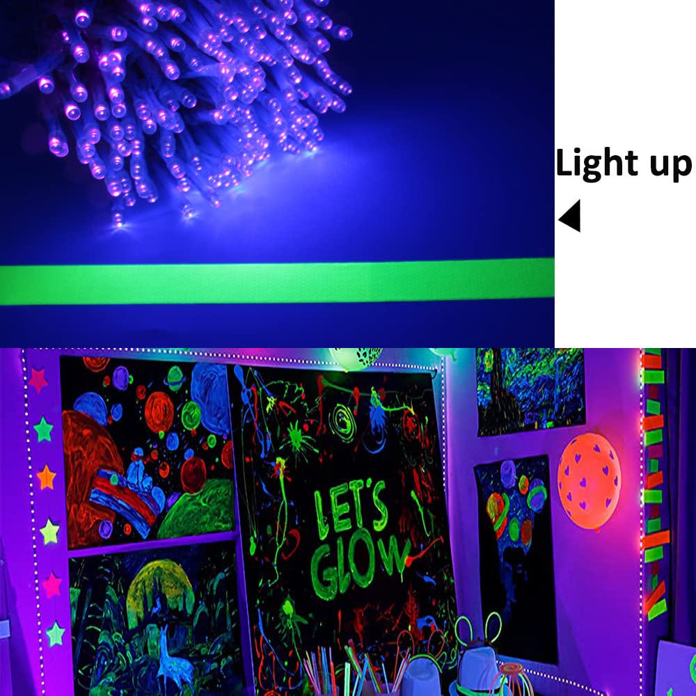 Solhice Black Light String Lights, 60ft, 240 LEDs, Remote Plug-in, Indoor D?or, Model HG00240-R