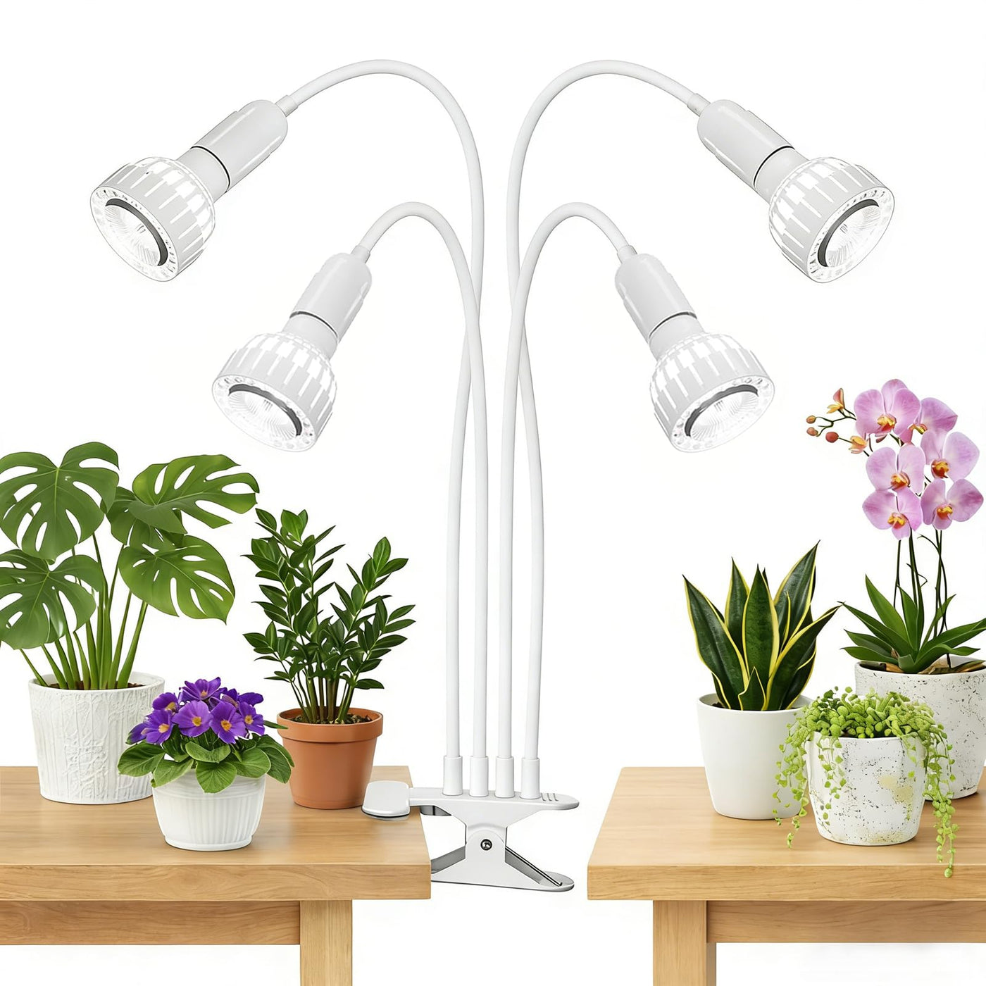 dual head plant grow light LED Grow Light, Dual-Head 5000K White Full Spectrum Clip-on Gooseneck – Lightsdaddy