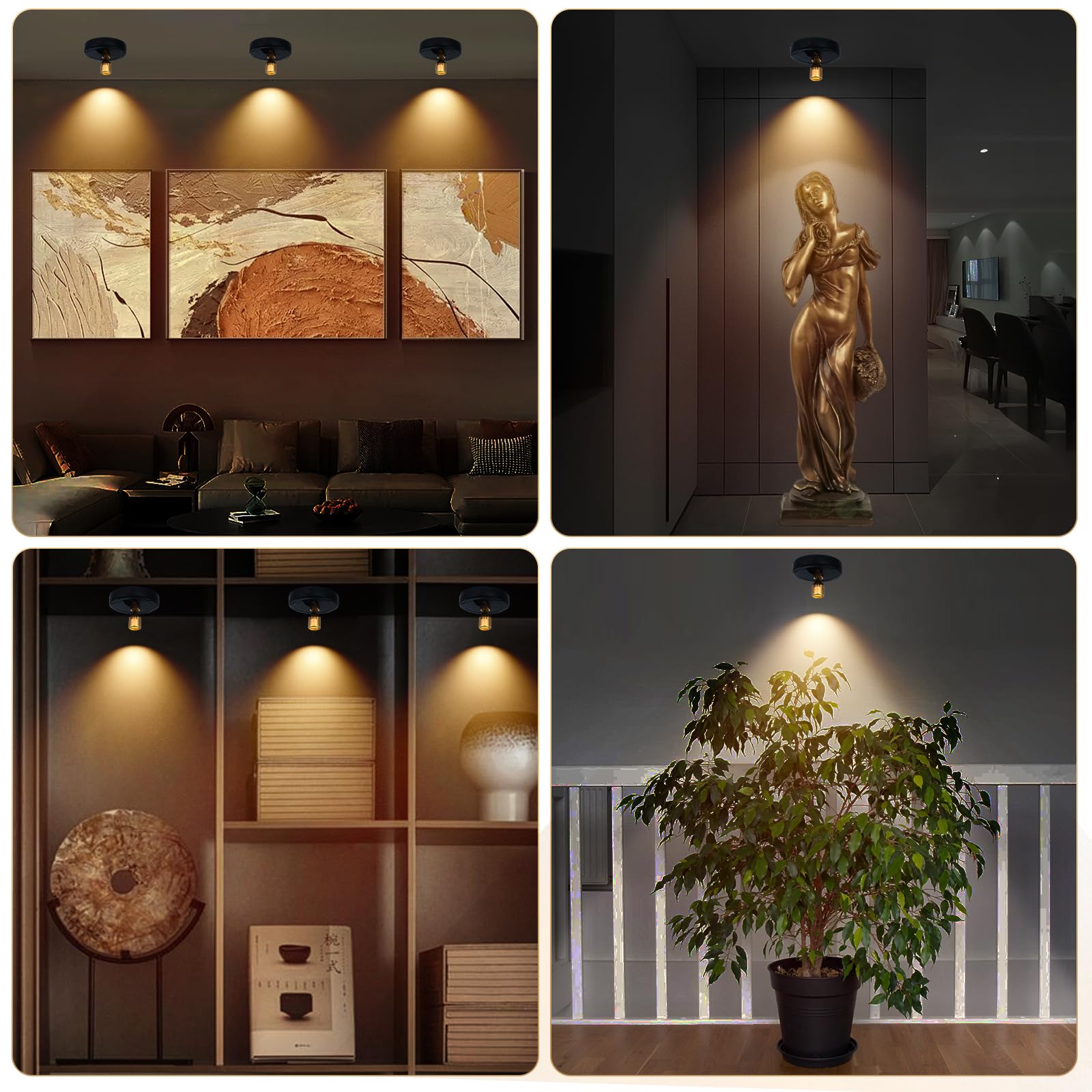 KANESIKI Rechargeable Spotlight, Battery Powered Picture Lights with Remote, Dimmable Plant Spot Light Indoor, Cordless Accent L