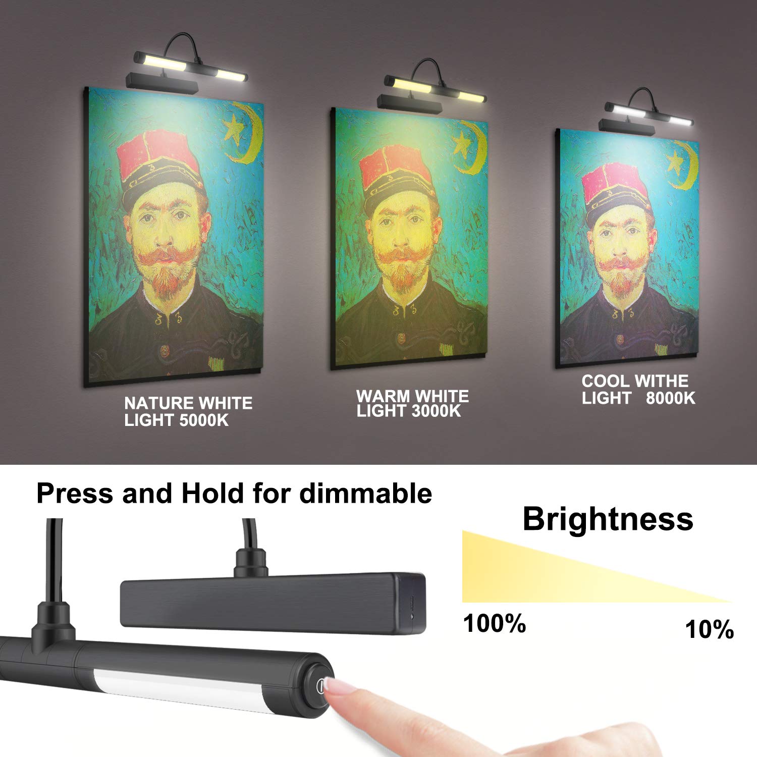 Picture Lights For Paintings,Recgargeable Battery Wireless Art Light With Remote Control,Dimmable And Timer Off Display Light Wi