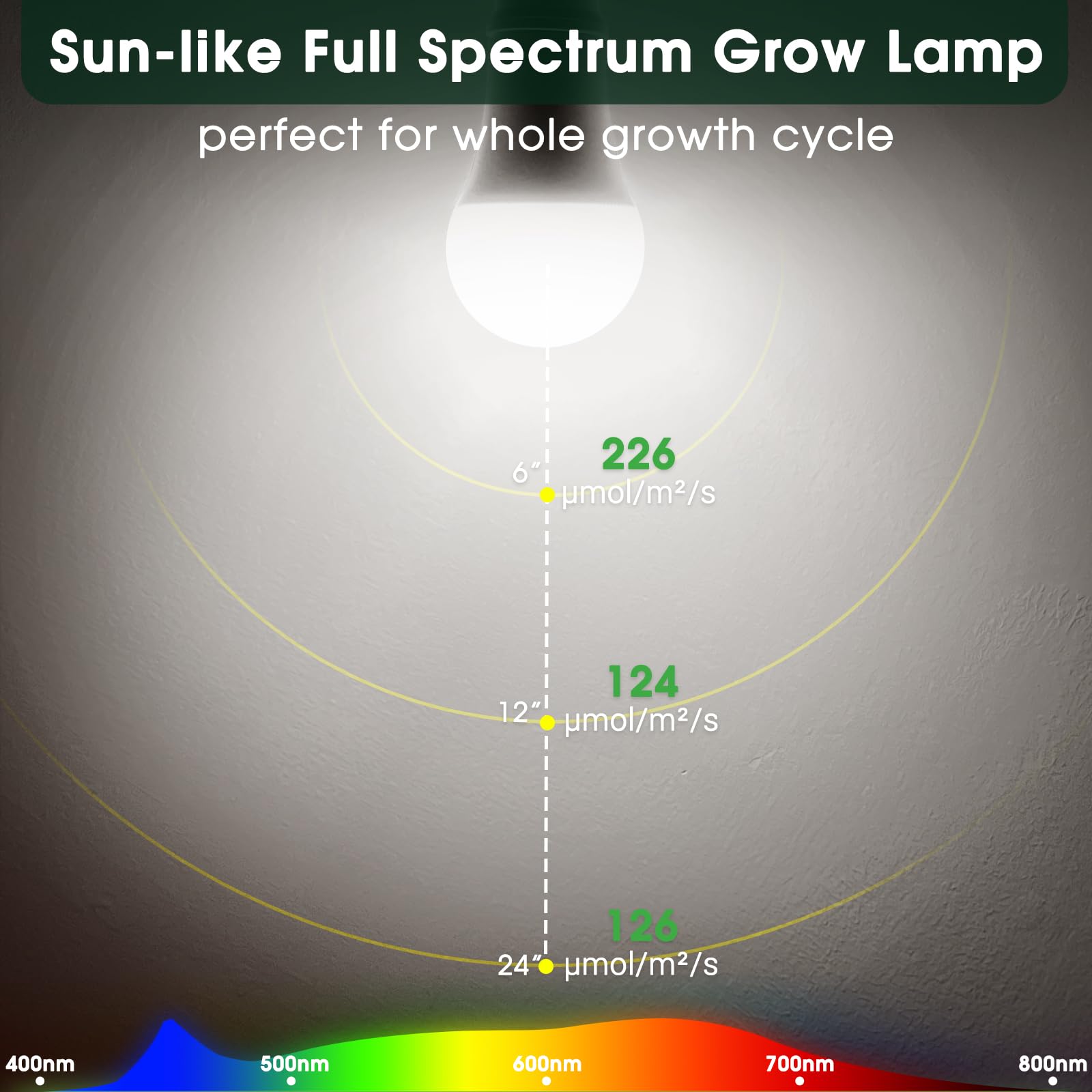 WEEGrow LED Grow Light Bulbs 5000K, Full Spectrum 11W E26 Base, 2 Pack, Daylight White for Indoor Plants and Greenhouses