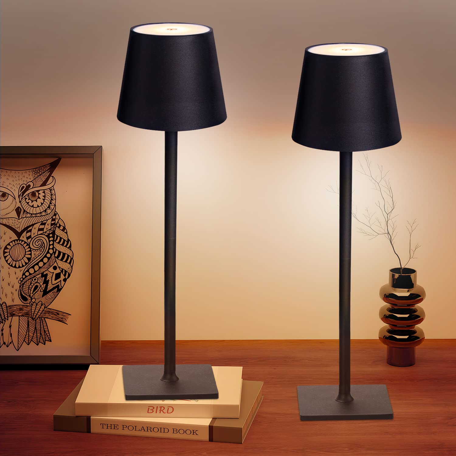 Chloranthus 2 Pack Cordless Table Lamps, Stepless Dimming, Rechargeable Led, Black