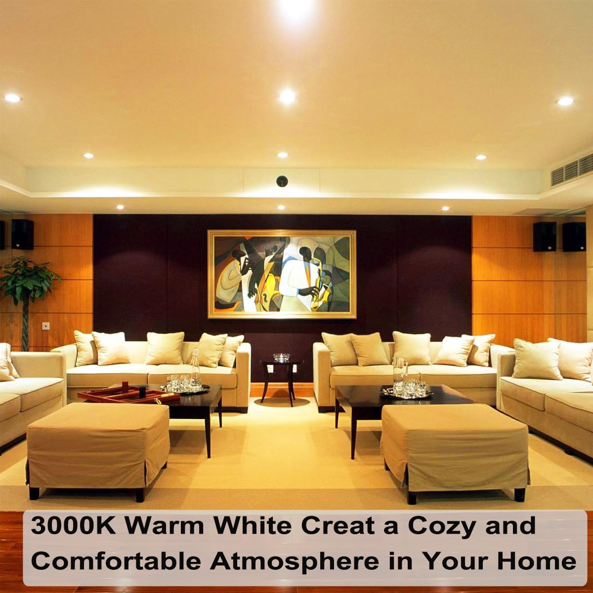 Vinaco PAR20 Halogen Flood Light Bulbs, Warm White, 50W, 6 Pack, E26 Medium Base, Long Lasting, Glass