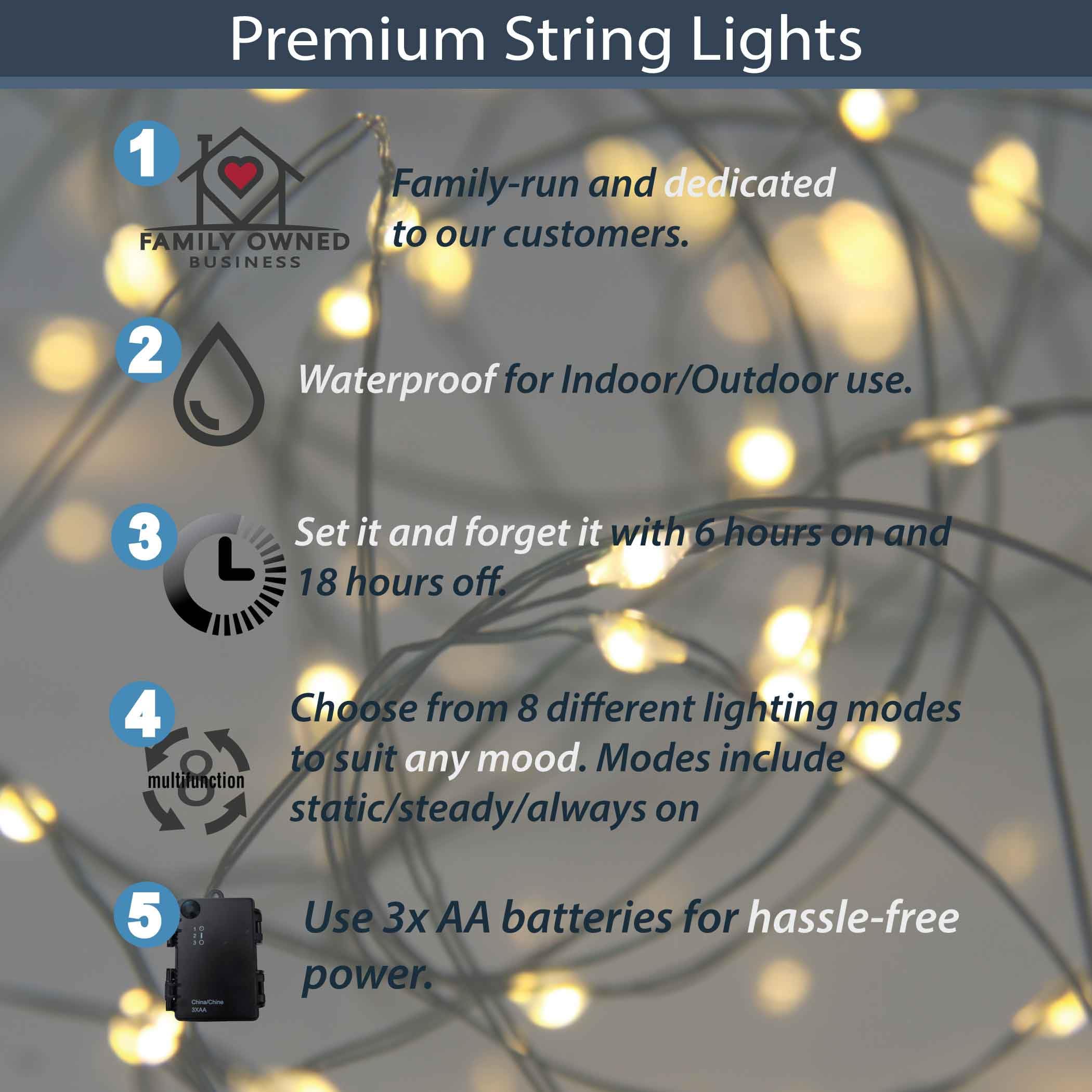 QBIS Warm White LED Fairy Lights, 30 Battery Operated Indoor/Outdoor String Lights, Waterproof, Green Wire, Model M30STR-BAT-WW-GR-MF