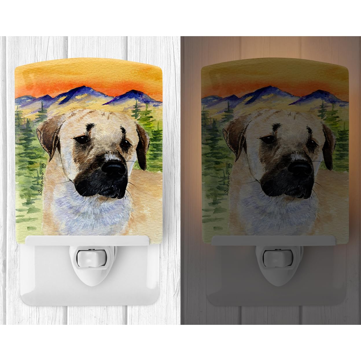 Carolines Treasures Ceramic Night Light, UL-Certified, 6x4x3 inches, Multicolor, Model SS8197CNL