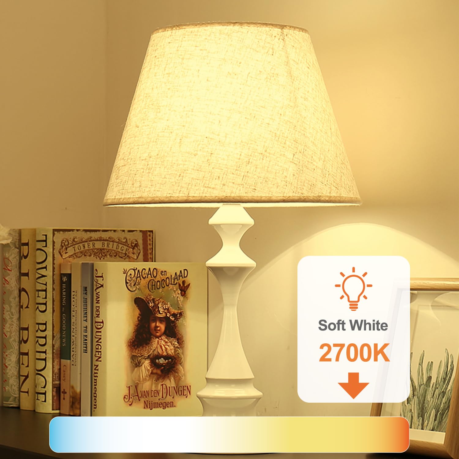 Tjoy 24 Pack A19 Led Light Bulbs Soft Warm White 2700K, 60 Watt Equivalent, Efficient 9W, E26 Standard Base, Non Dimmable Energy Saving Warm Light Lamp Bulb, 800Lm 120V, For Home, Bedroom, Living Room