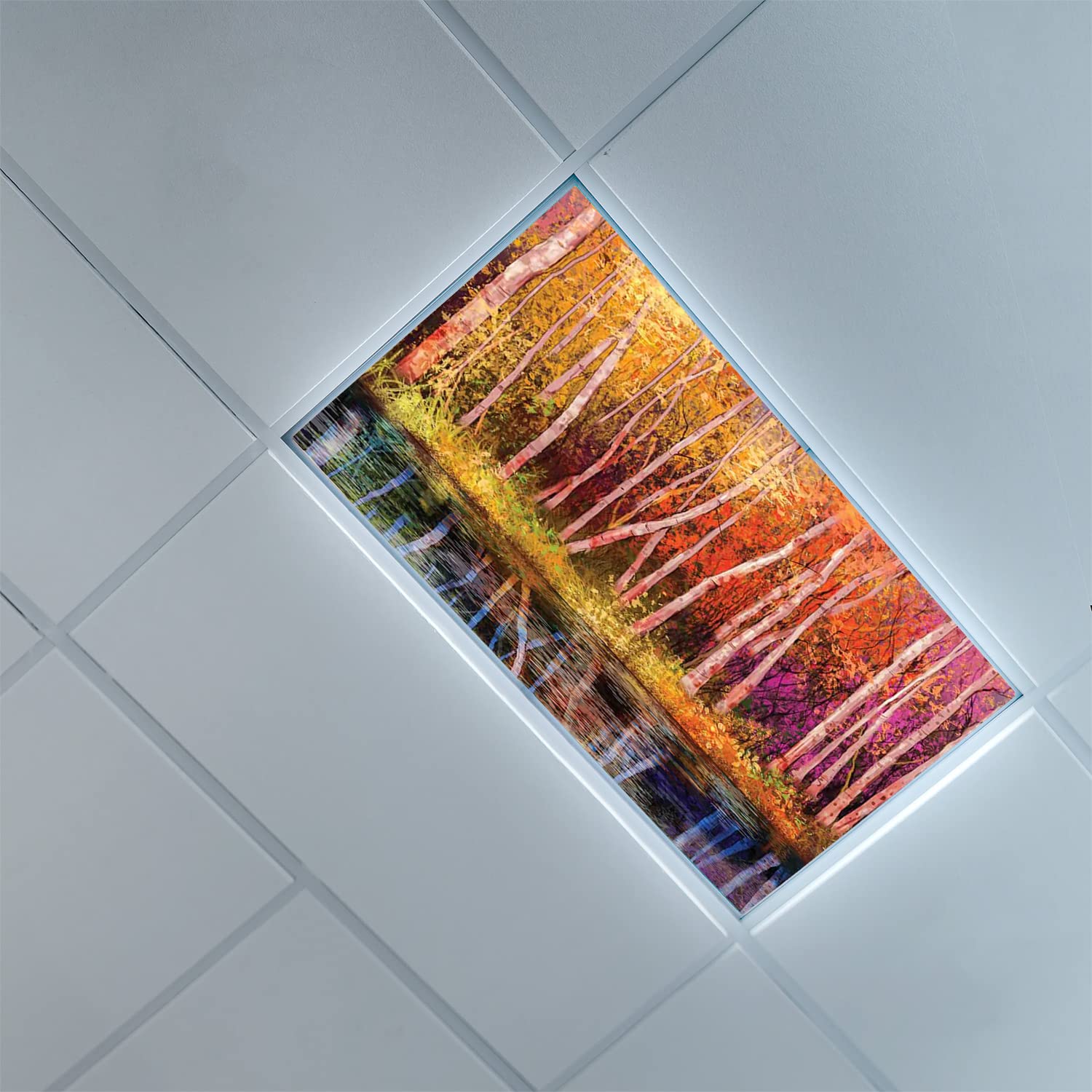 Lorougei Fluorescent Light Cover Decorative Ceiling Light Filters,Flower Pattern,for Classroom Office Hospitals Home Ceiling Dec