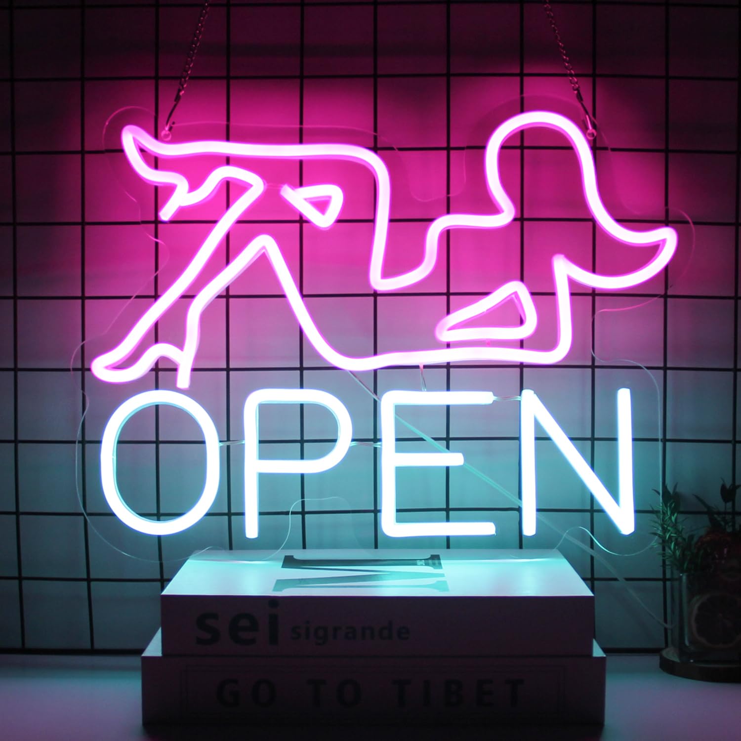 CKTBLEY Open Neon Sign LED Wall Decor - Pink Lady Design, USB Powered, 16.5 x 12.4 inches, Blue Pink Acrylic Light for Bar/Restaurant