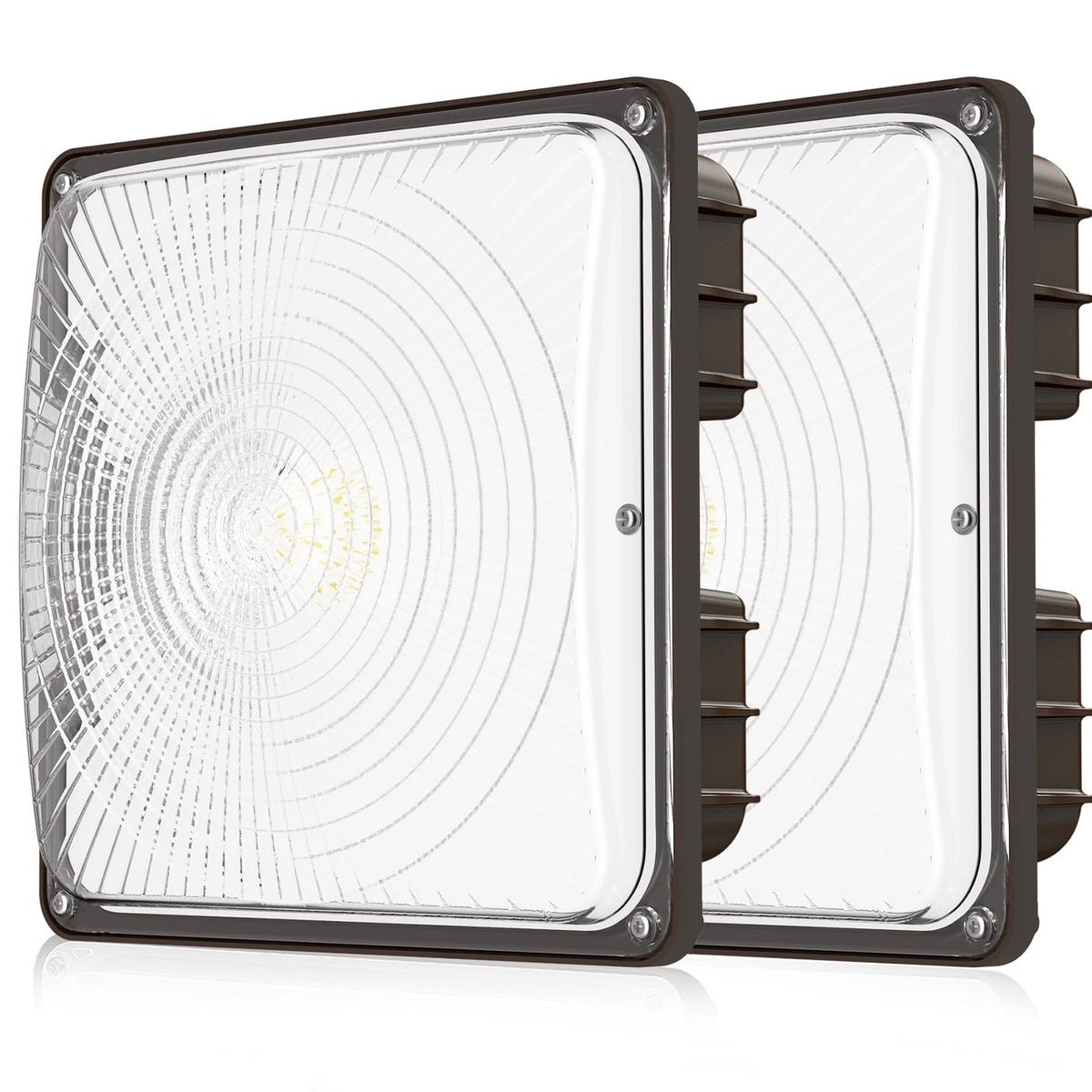 Cinoton 40W Led Canopy Lights, Ip65 Waterproof, 5600Lm, 5000K Daylight,