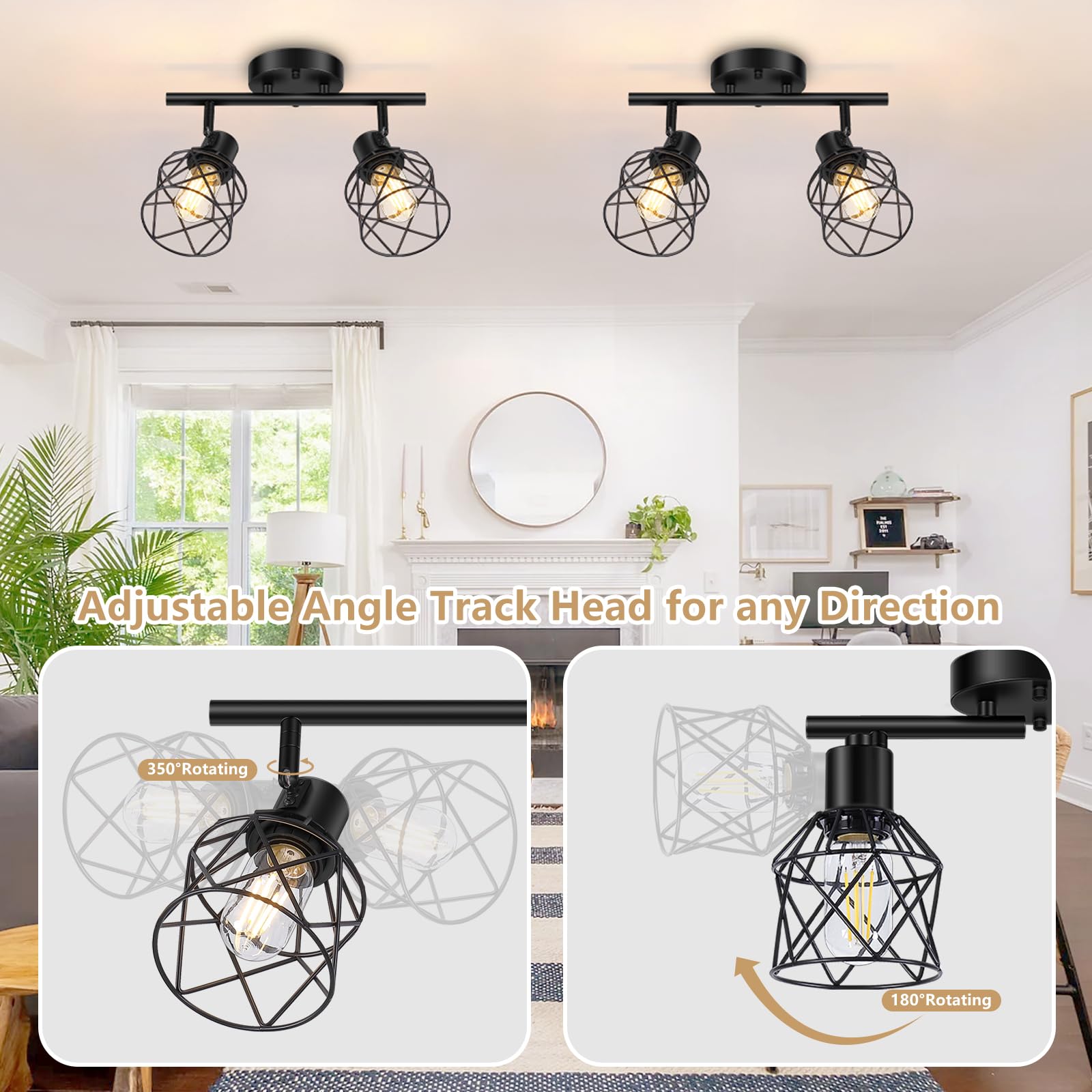 Baocuz 2-Lights Ceiling Light Fixtures, Adjustable Metal Wire Cage, Vintage Style, Black, Model BTCL-2 Light