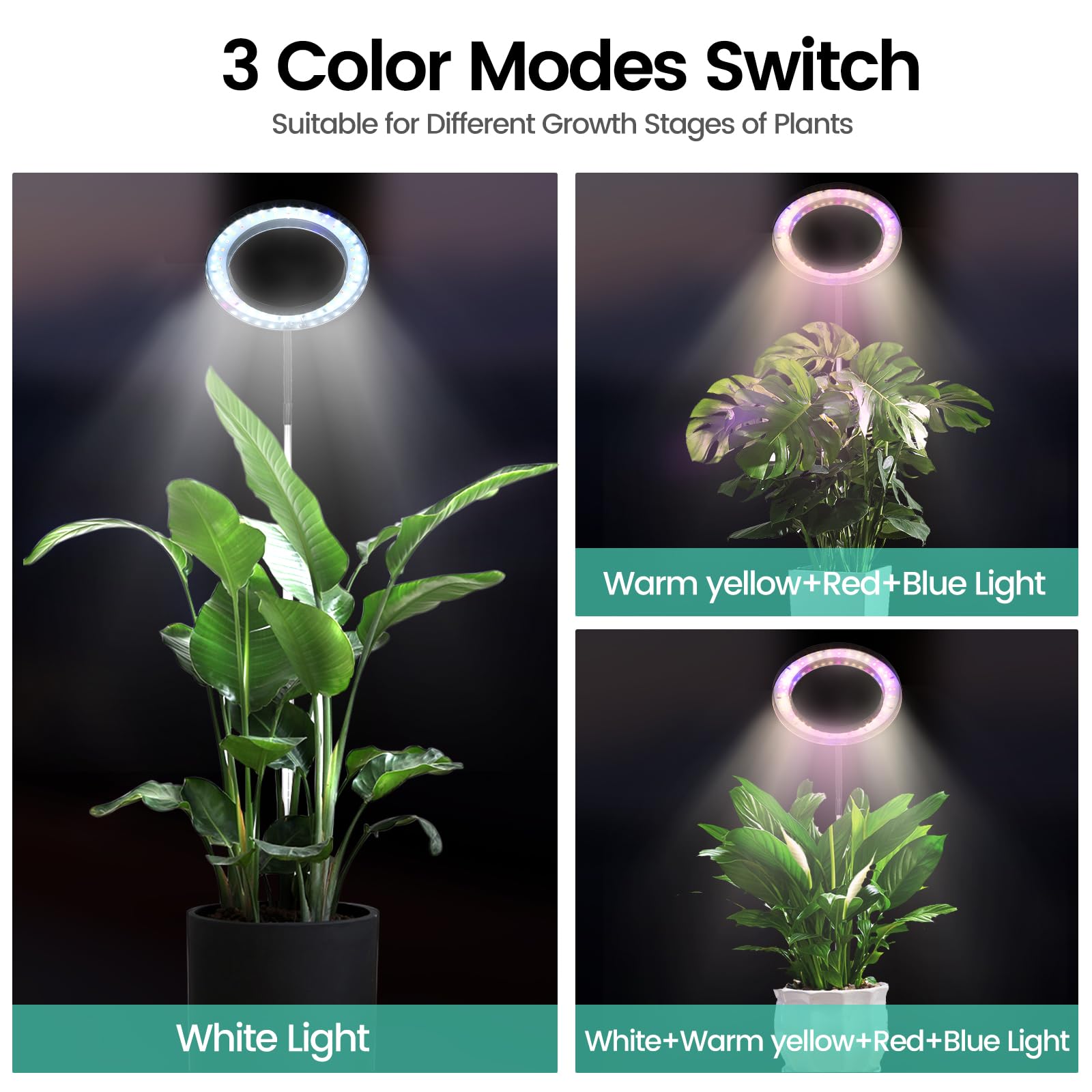 Grow Lights for Indoor Plants,Full Spectrum LED Floor Plant Light with Stand,63 inch Adjustable Height for Large Plant,3 Switch