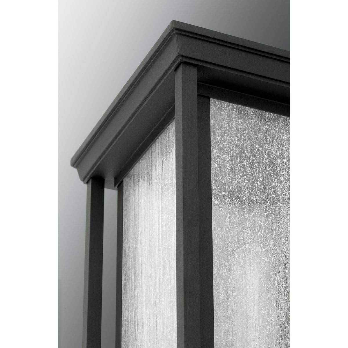 Progress Lighting P5605-31 Endicott Outdoor Black Aluminum Fixture