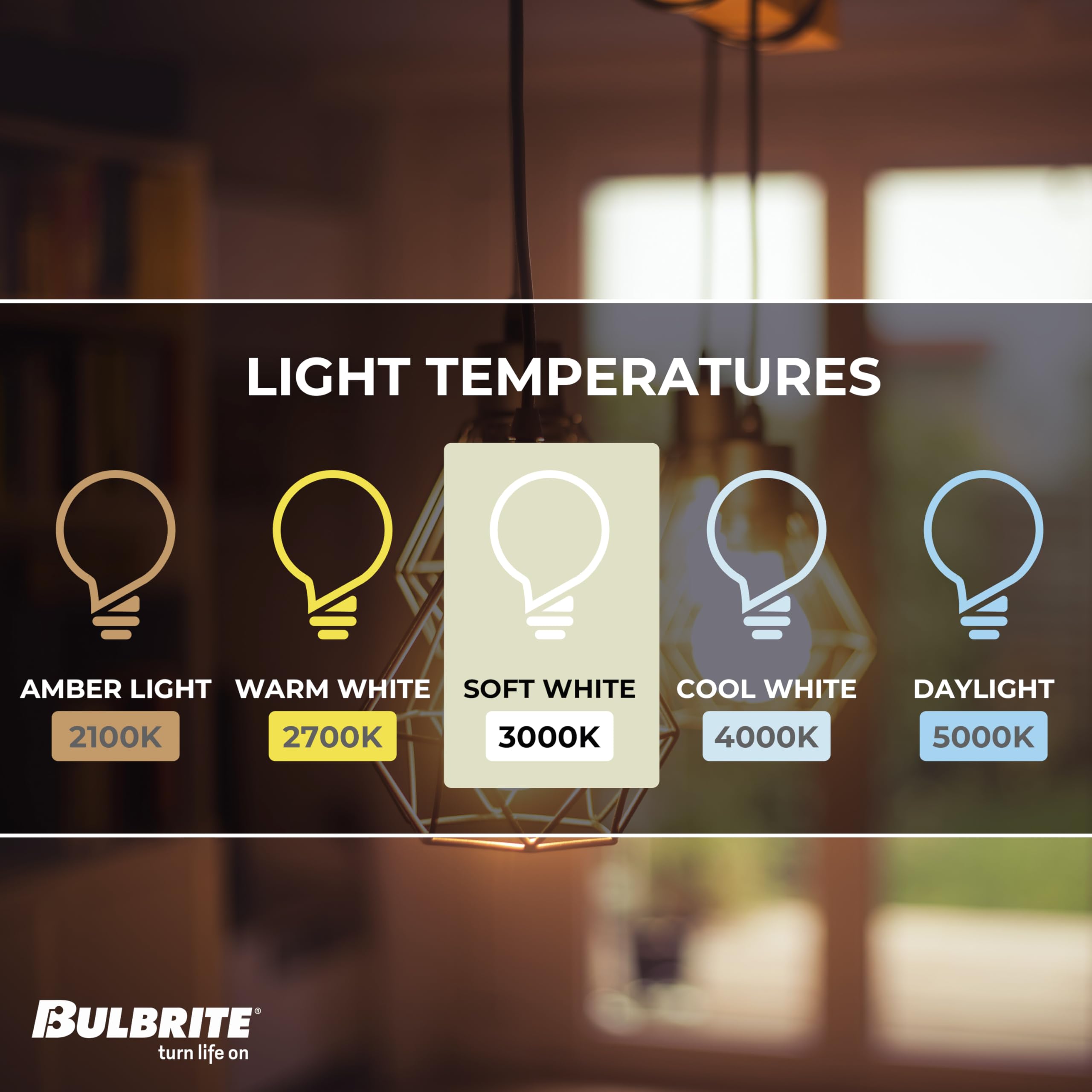 Bulbrite 776768 Light Bulb, 1 Count (Pack Of 1), Clear (1)